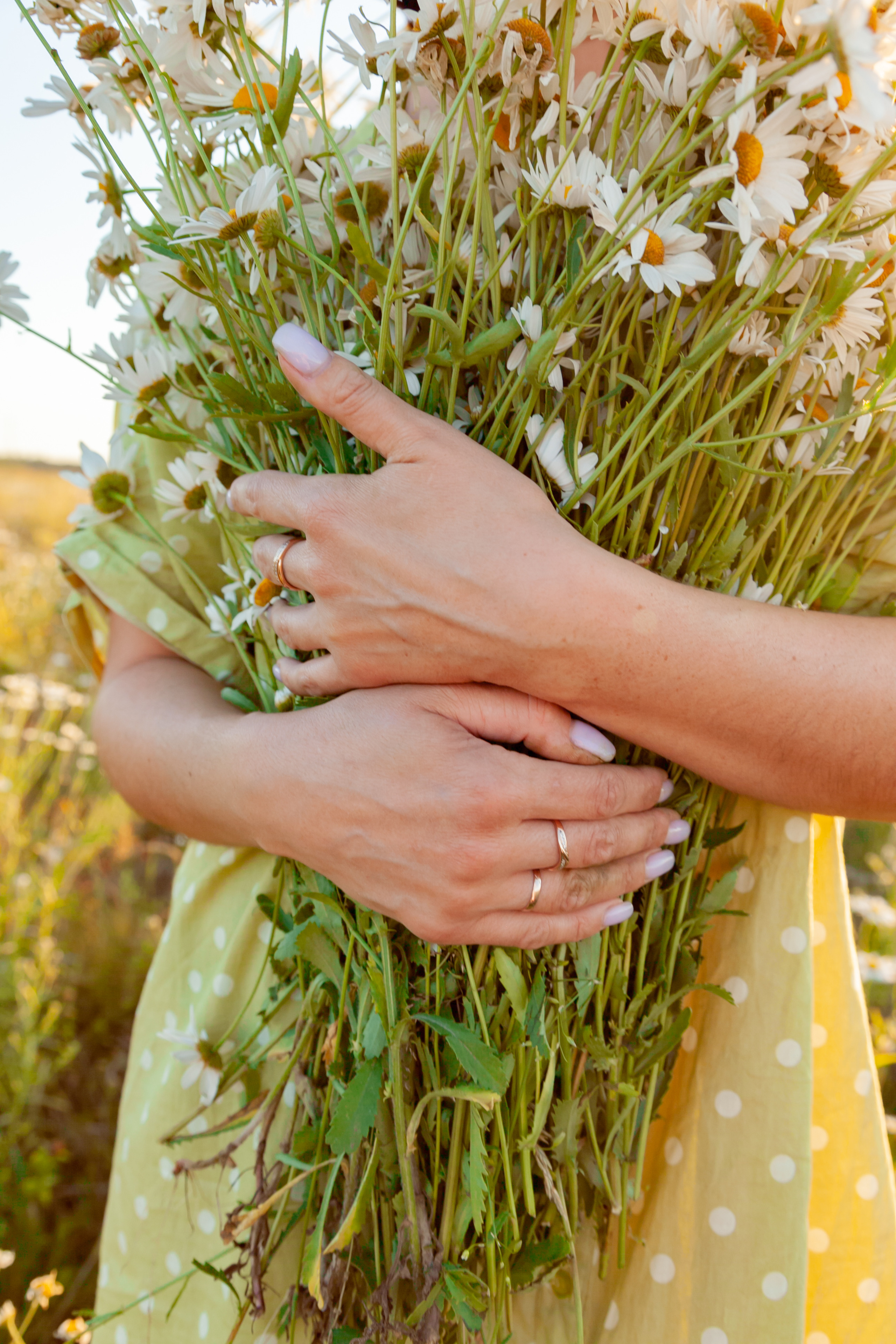 Ромашковое настроение. Фотограф Татьяна Воронова, Детские и Семейные фото