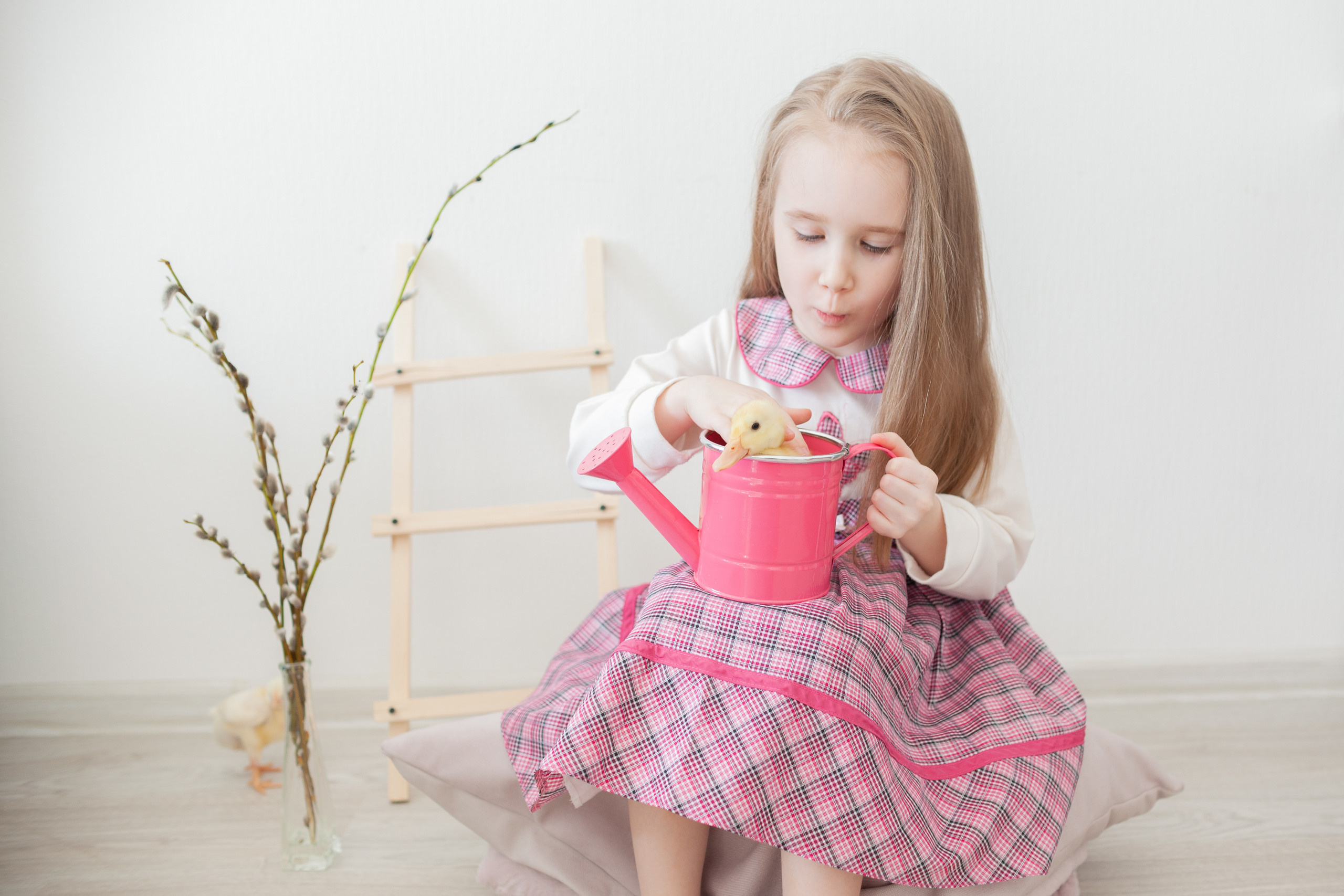 Утята и цыплята. Фотограф Татьяна Воронова, Детские и Семейные фото