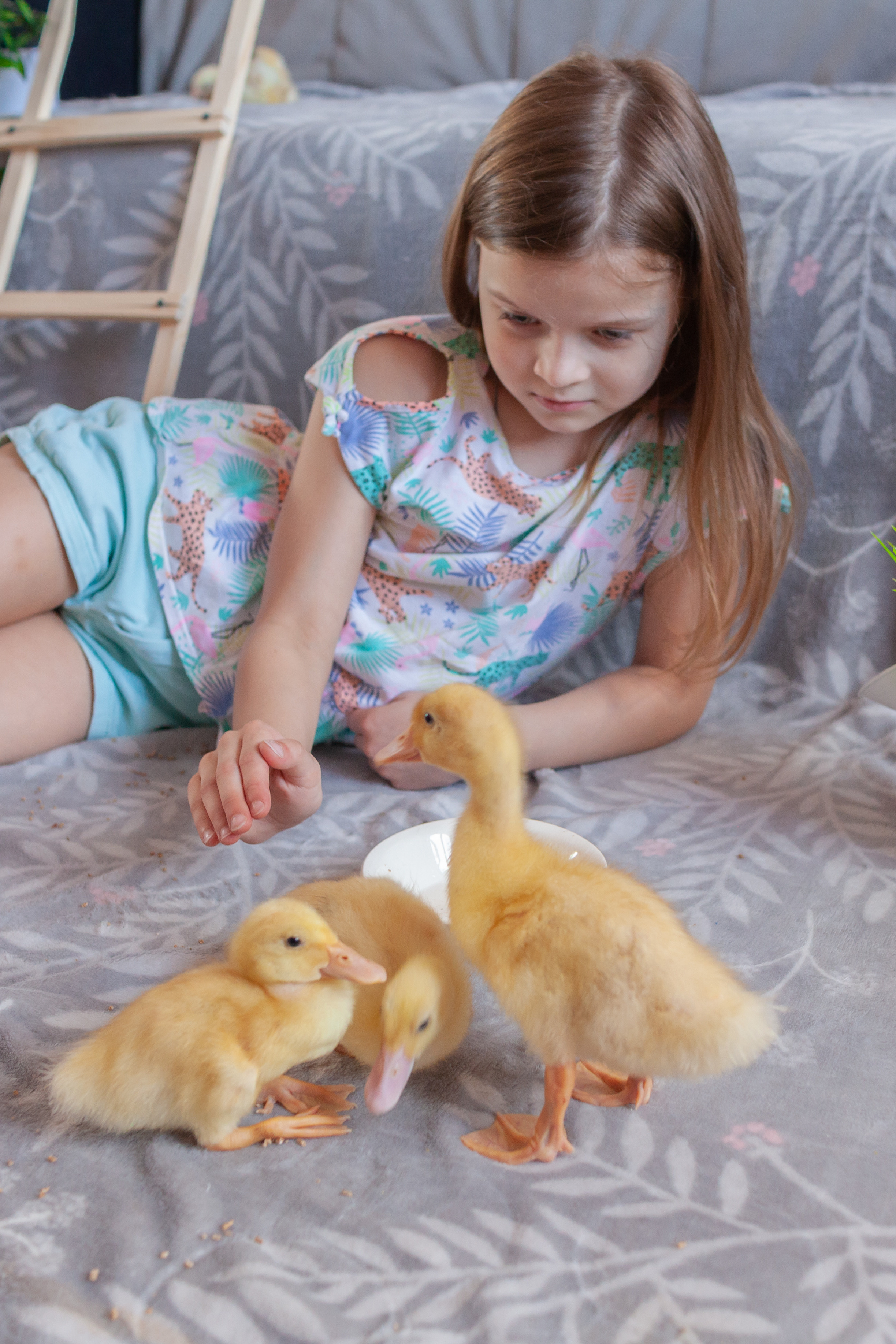 Утята и цыплята. Фотограф Татьяна Воронова, Детские и Семейные фото