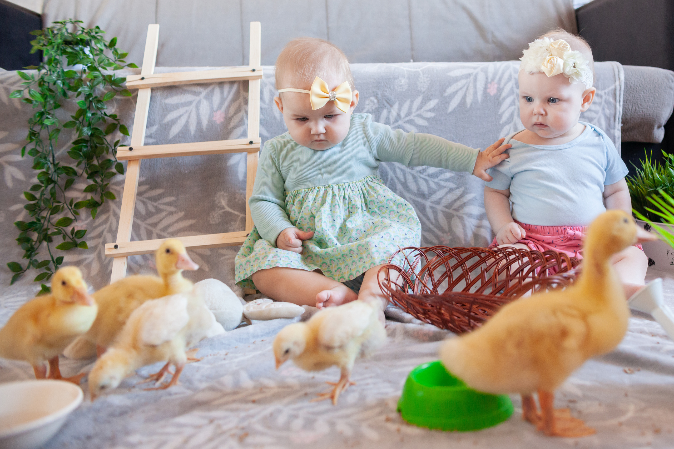 Утята и цыплята. Фотограф Татьяна Воронова, Детские и Семейные фото