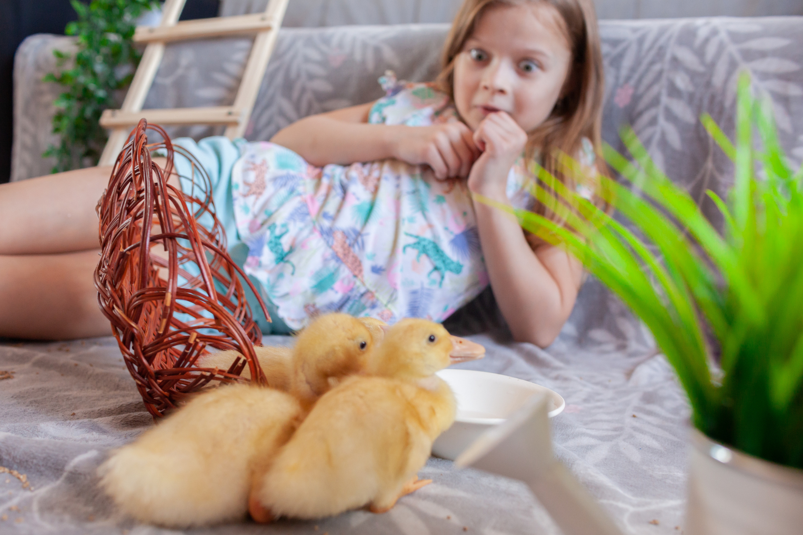 Утята и цыплята. Фотограф Татьяна Воронова, Детские и Семейные фото