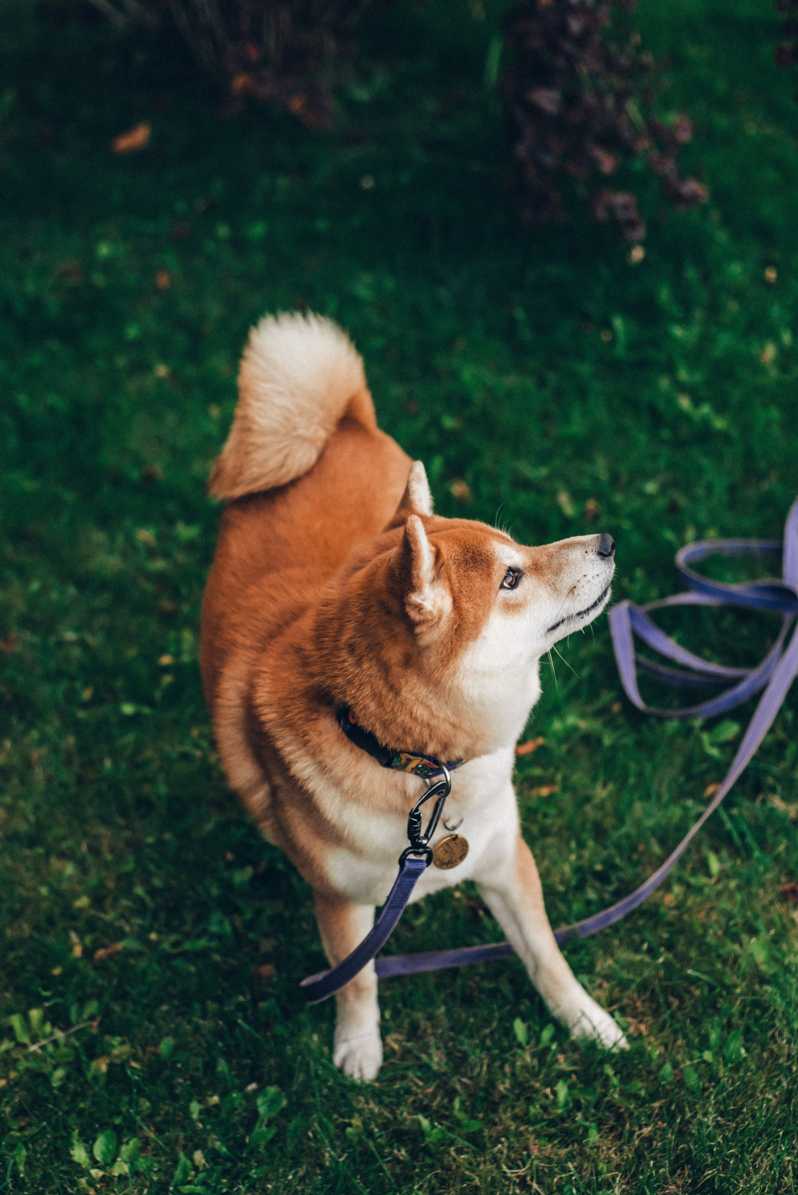 Ксения и Айки. Ольга Козлова фотограф Волгоград olkiny-fotki.ru