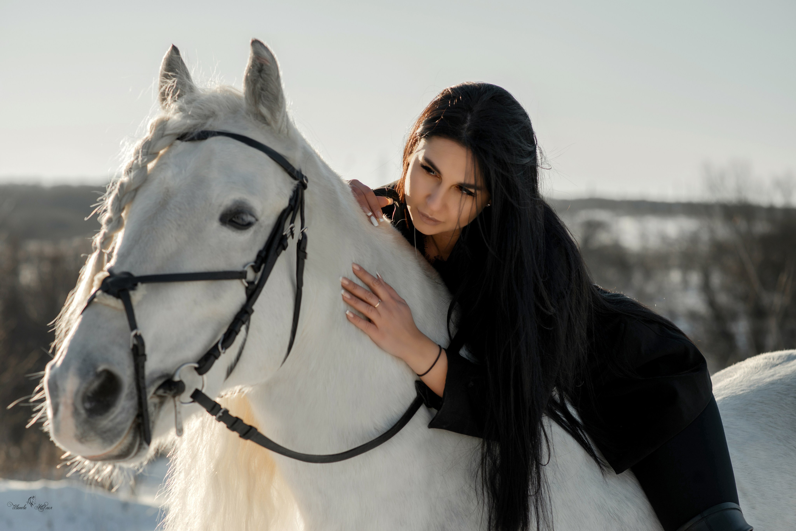 Владлена и Вымпел. Конный фотограф в Саратове Юлия Иванова