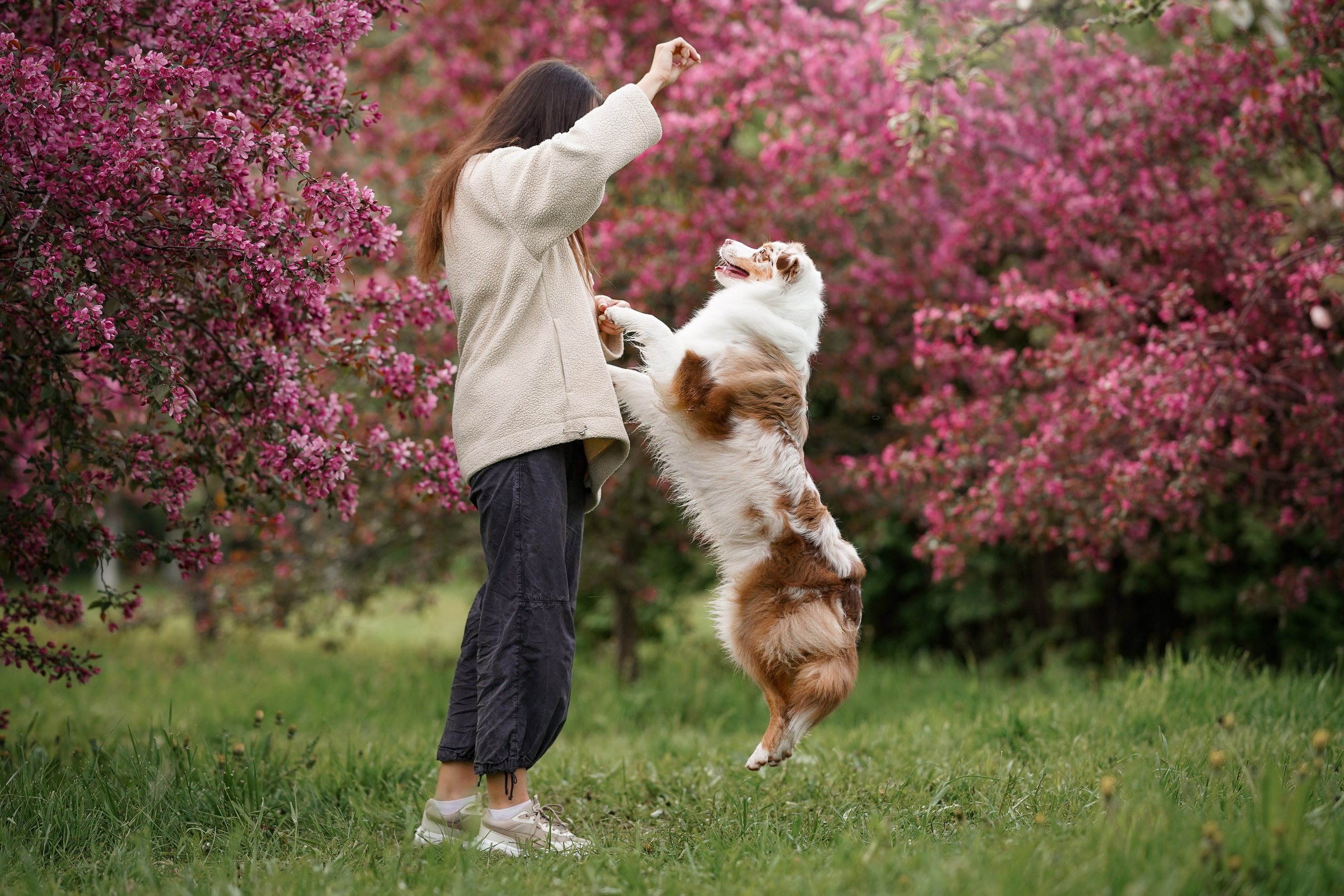 Панда в Яблоневом саду. Фотограф-анималист в Санкт-Петербурге Яна Мартынова
