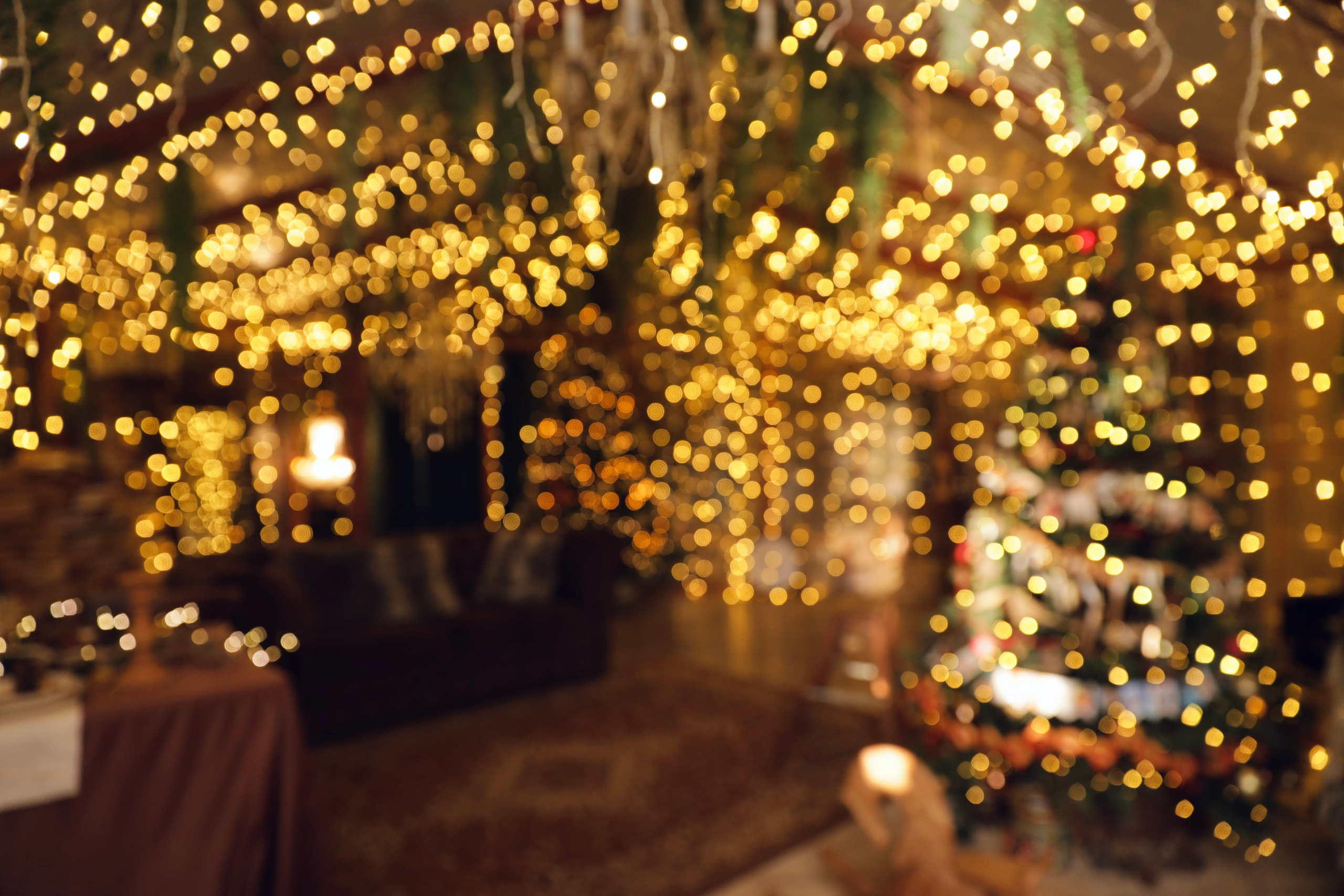 Фотостудия «Роял» зал Теплица. Свадебный фотограф в Ростове Александра Груздева