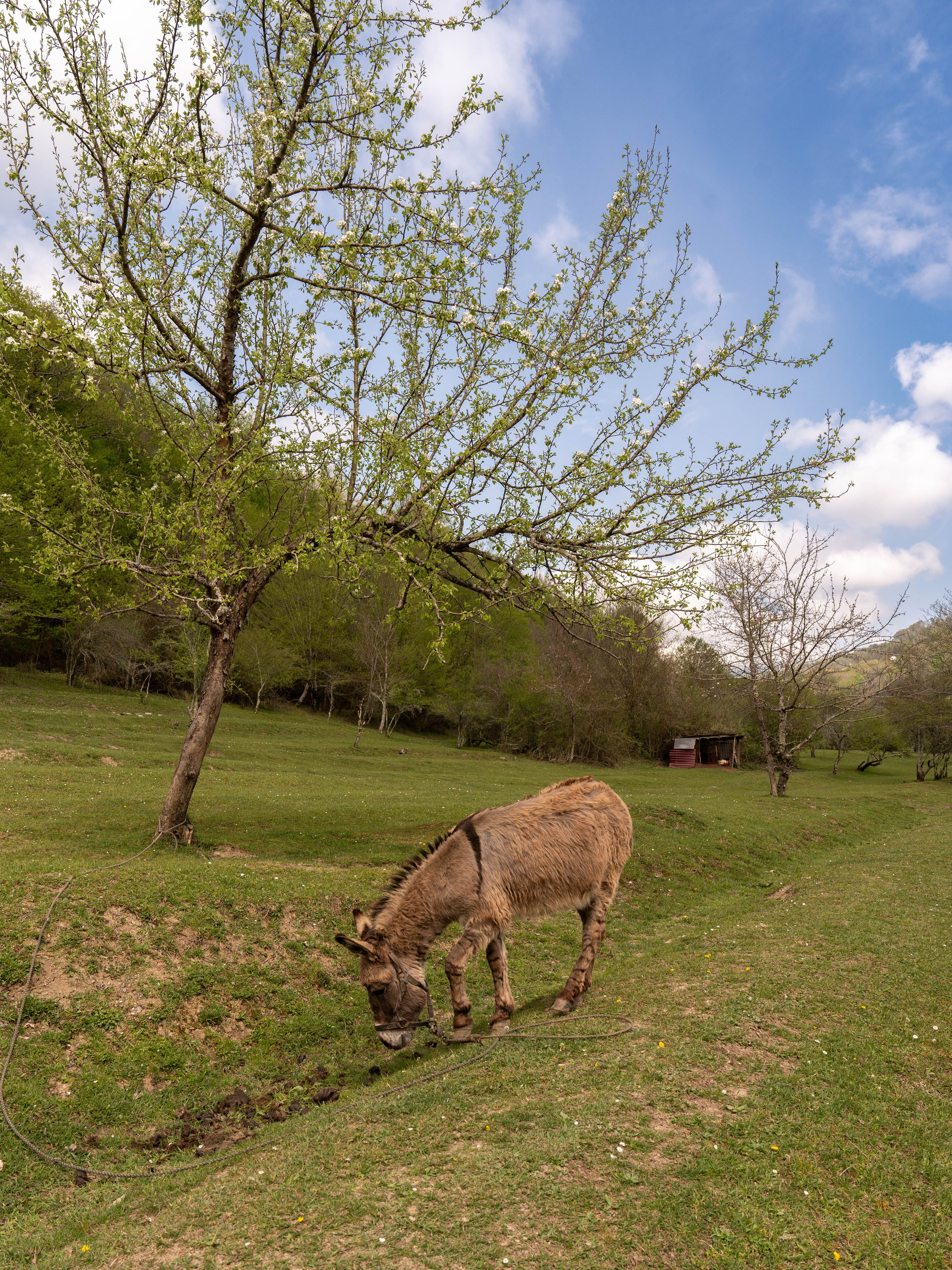 MICE мероприятие — джиппинг на каньон Псахо. Репортажный фотограф в Красной Поляне и Сочи Павлюченко Екатерина
