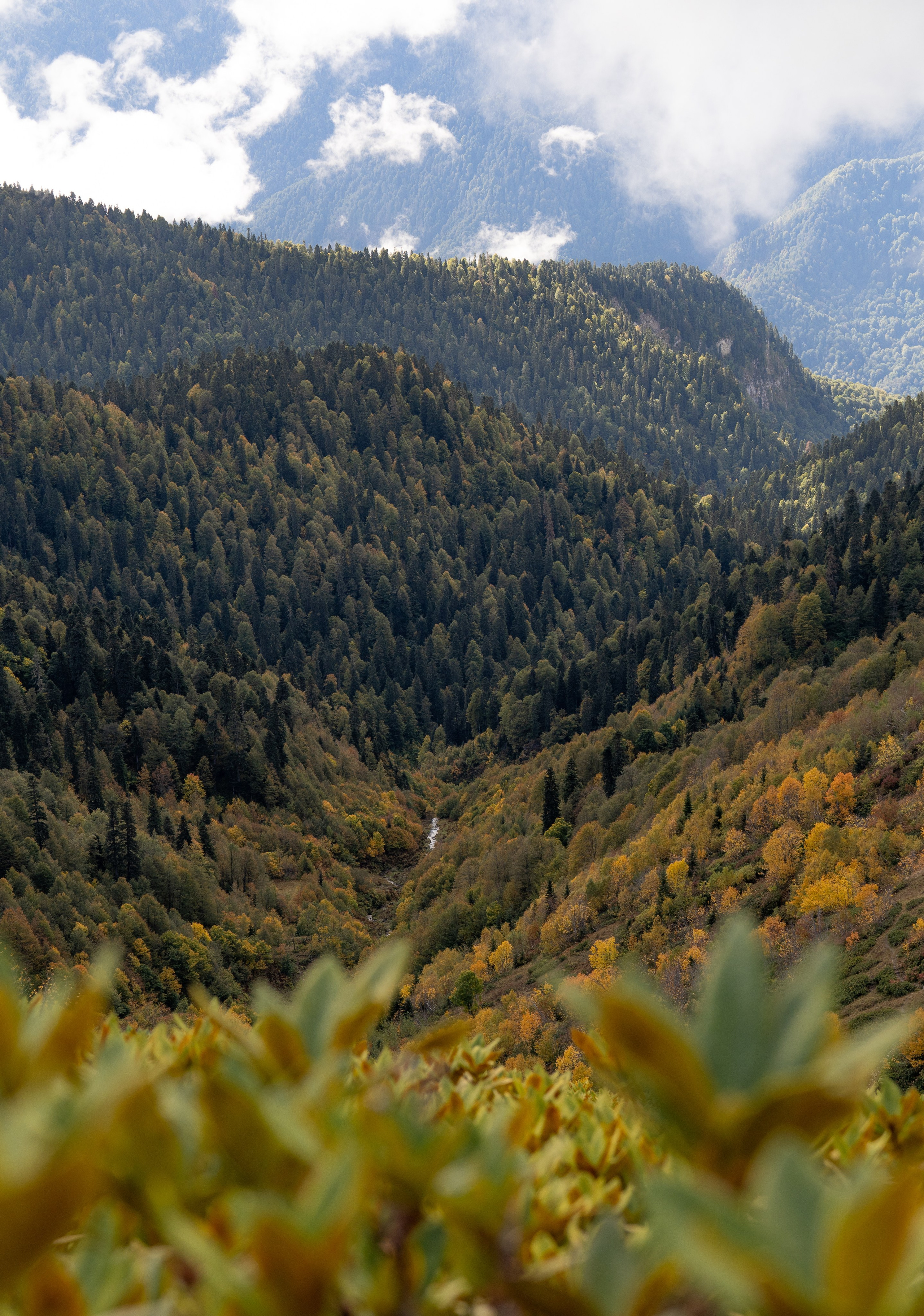 Трейловый бег «Альпиндустрия. Три курорта''. Репортажный фотограф в Красной Поляне и Сочи Павлюченко Екатерина