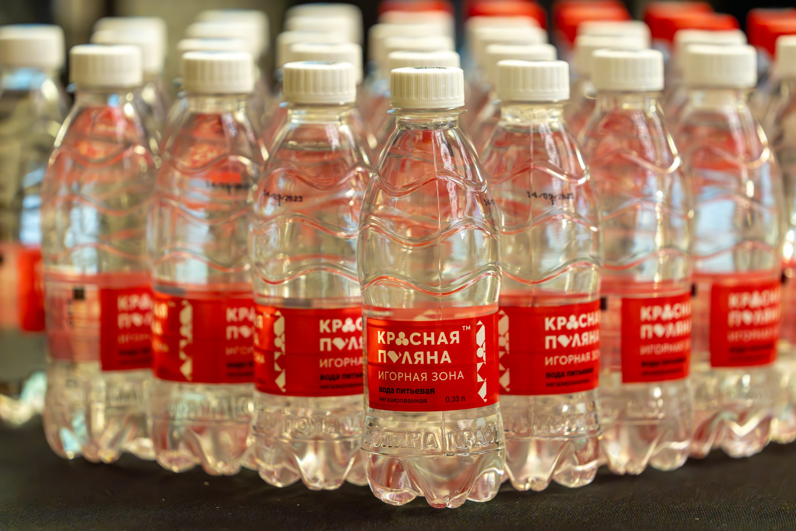 MICE мероприятие для компании «Базис». Репортажный фотограф в Красной Поляне и Сочи Павлюченко Екатерина