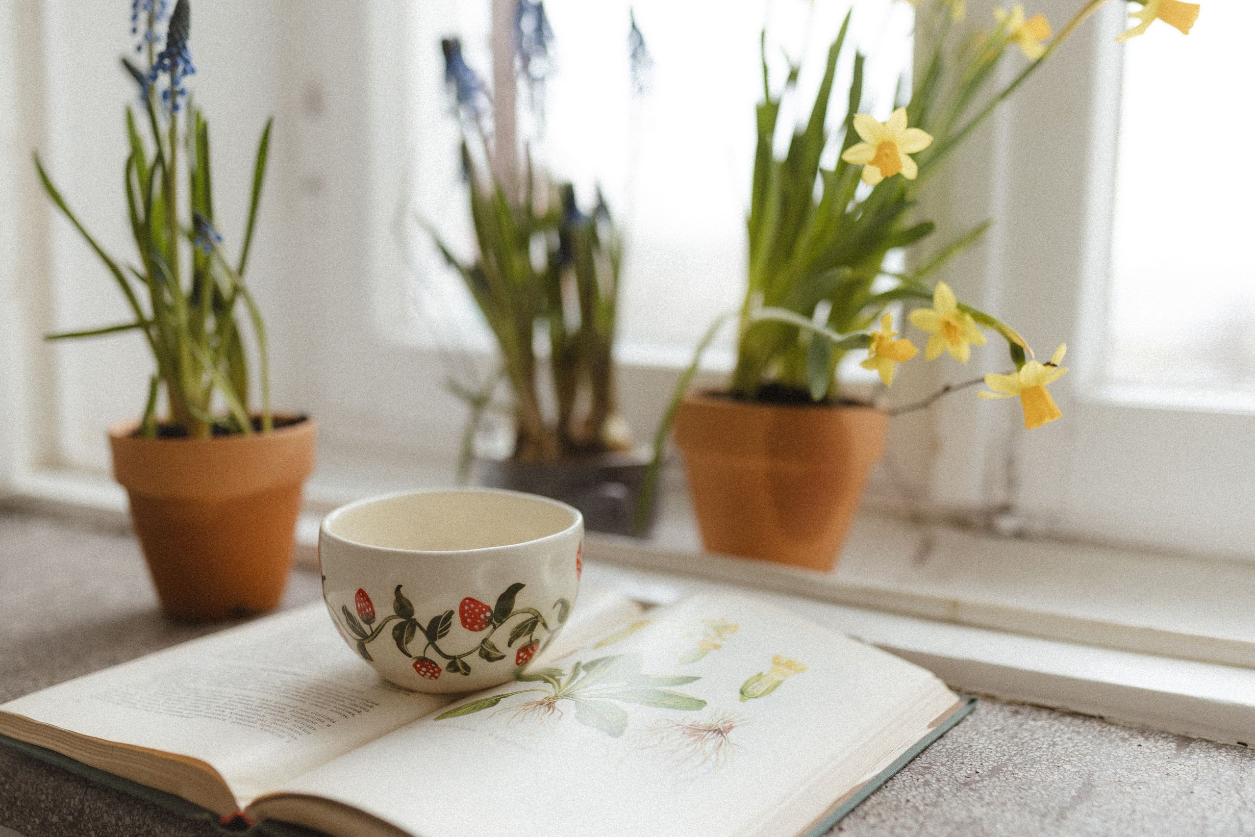 Девочки в цветах. Семейный фотограф в Москве Алина Савченко