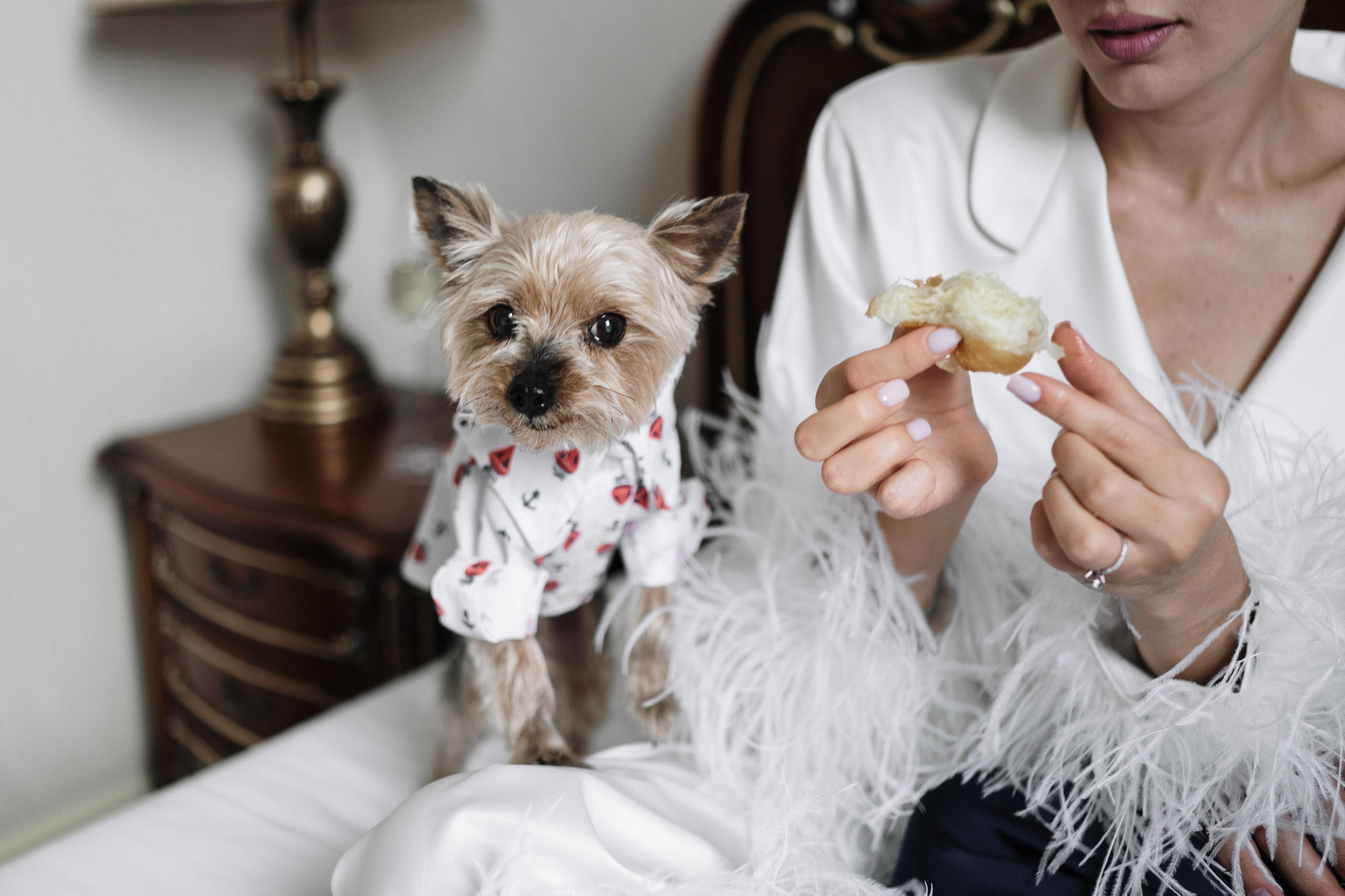 Вероника Александр. Свадебный и портретный фотограф Алена Седининна в Крыму