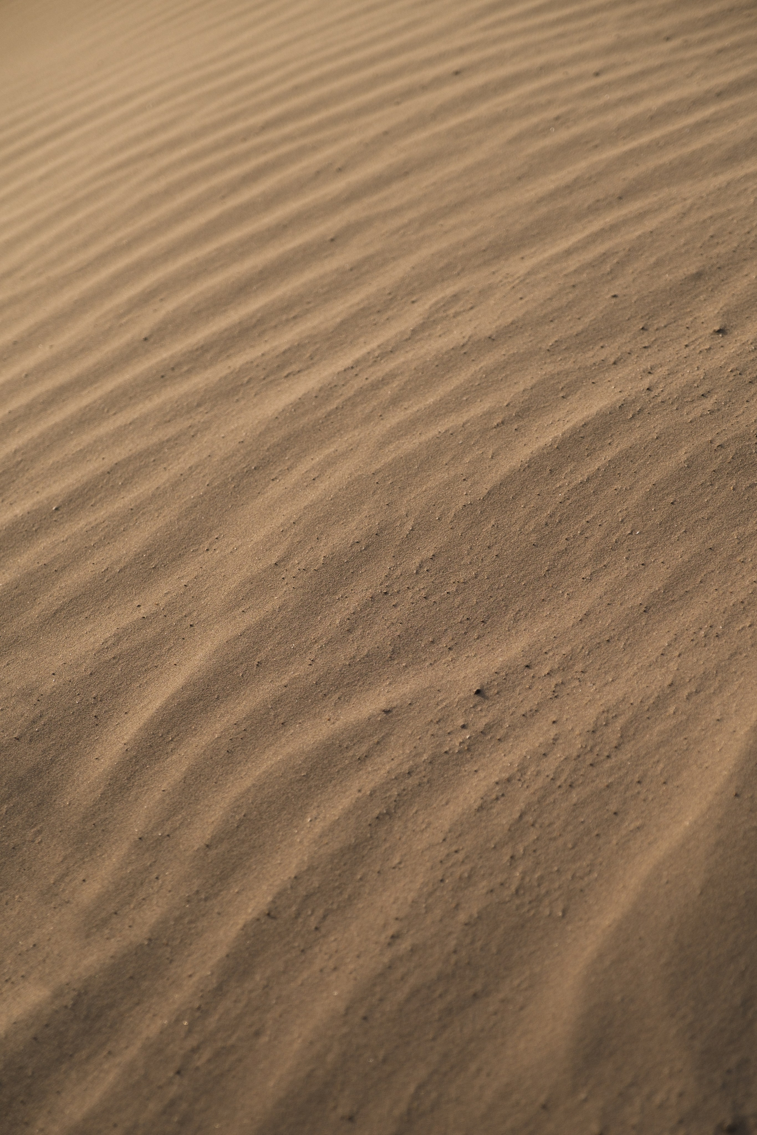 Рая и Аделина. Свадебный и семейный фотограф в Волгограде