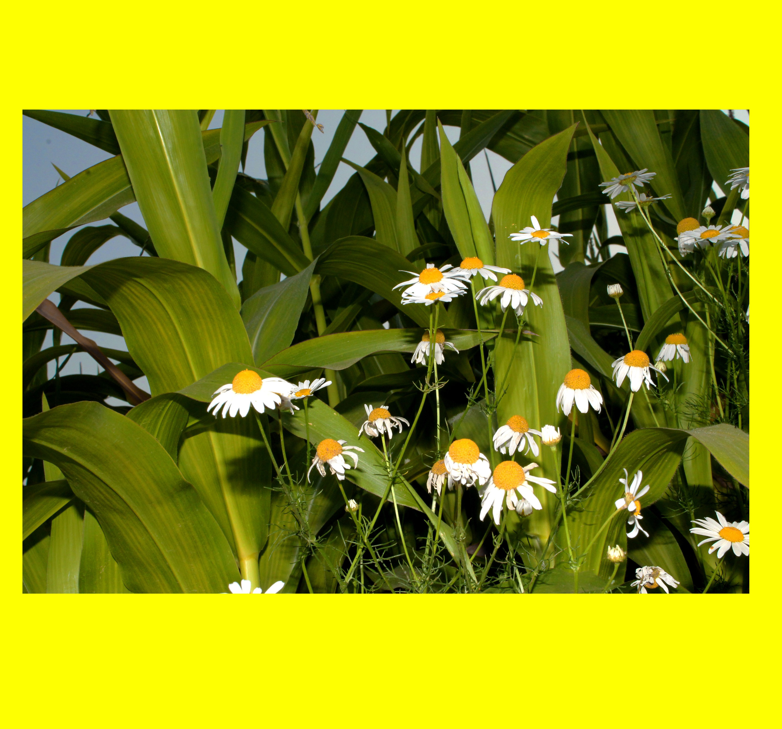 Мои первые работы. Фотограф из Москвы — DASHA NOVA | Авторская фотография в разных жанрах