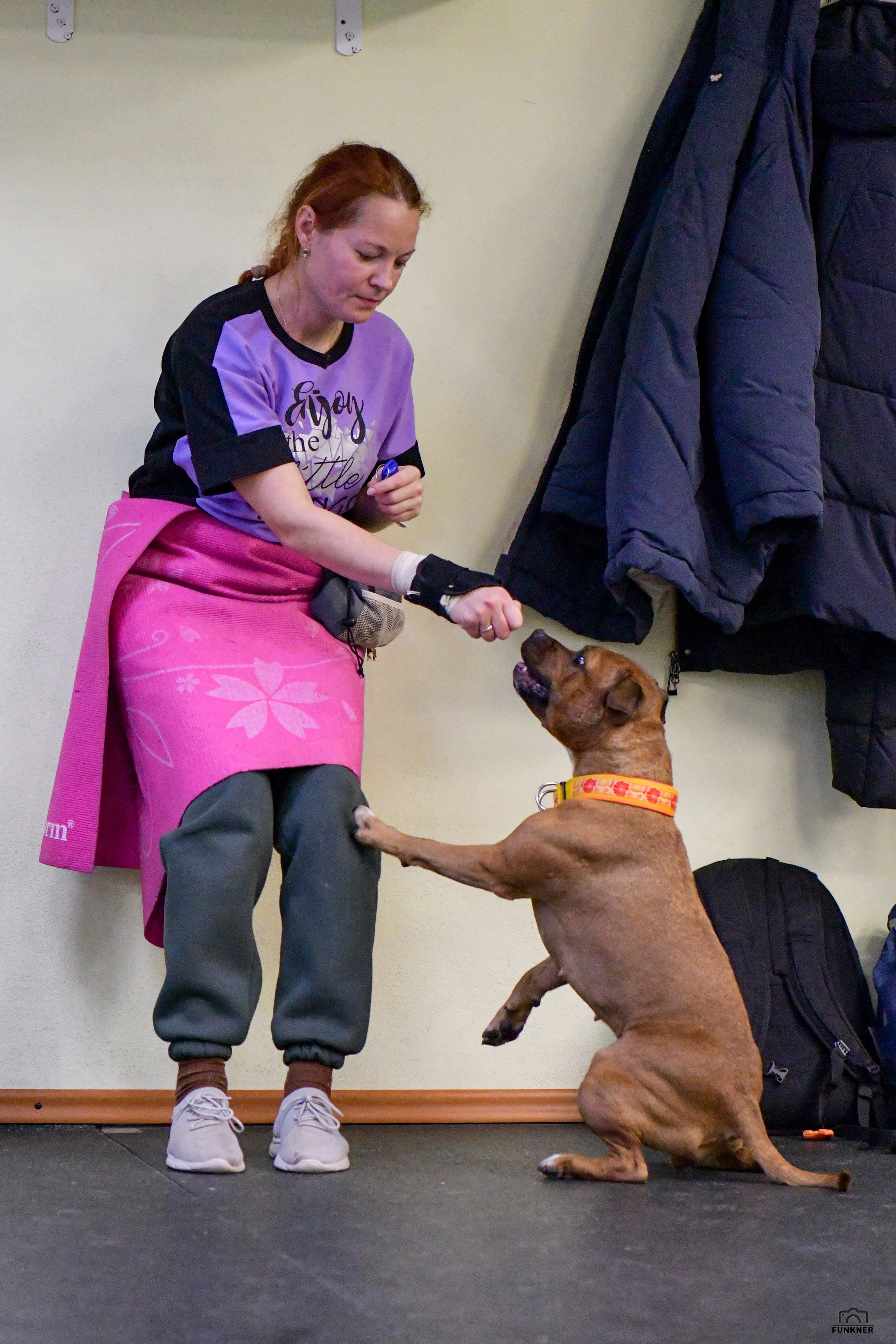 Кинологический клуб «Бодрый хвост». Свой взгляд через объектив