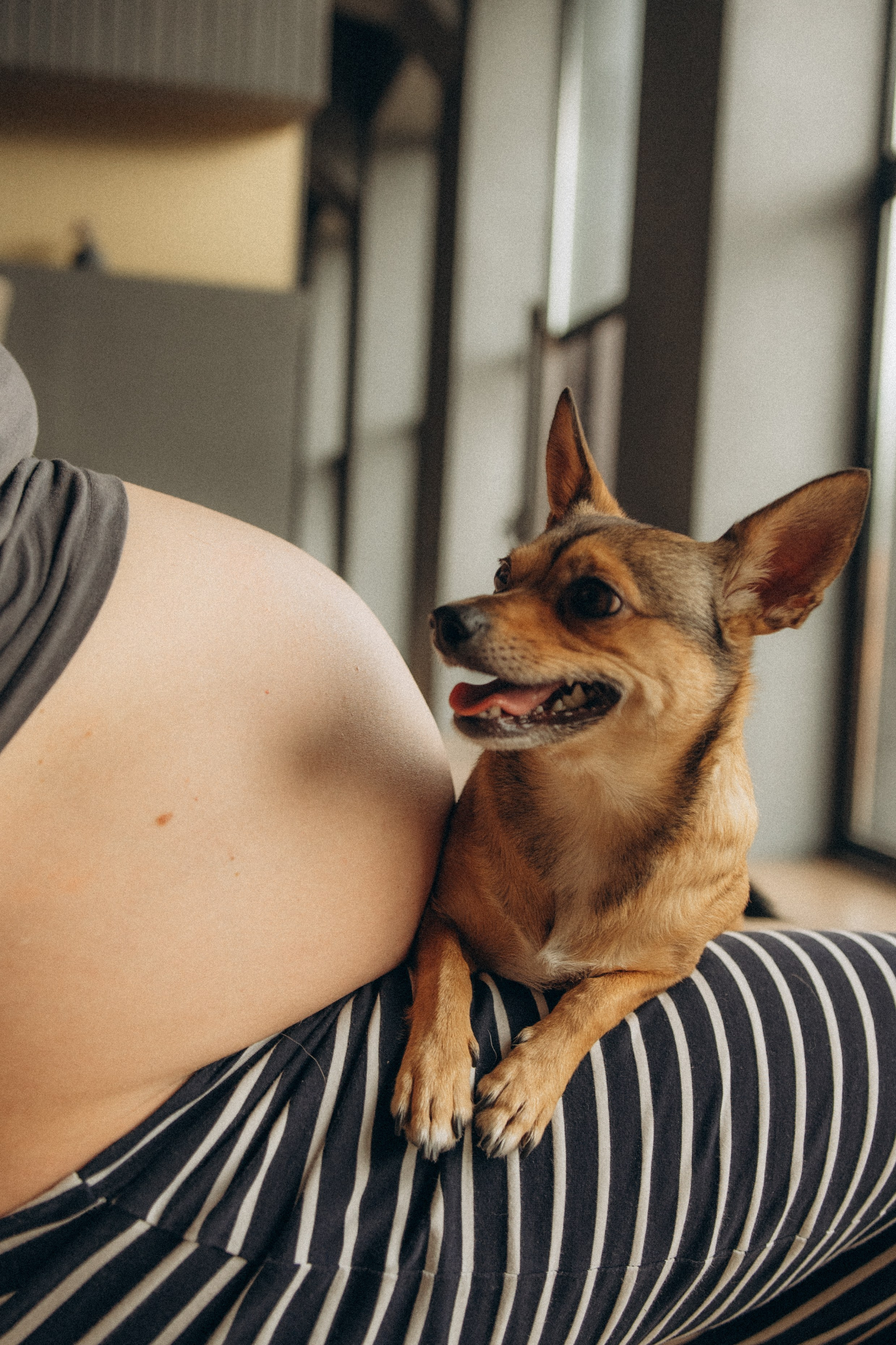 Алена, Антон и Гая. Гаврилова Настя семейный фотограф lifestyle в Москве