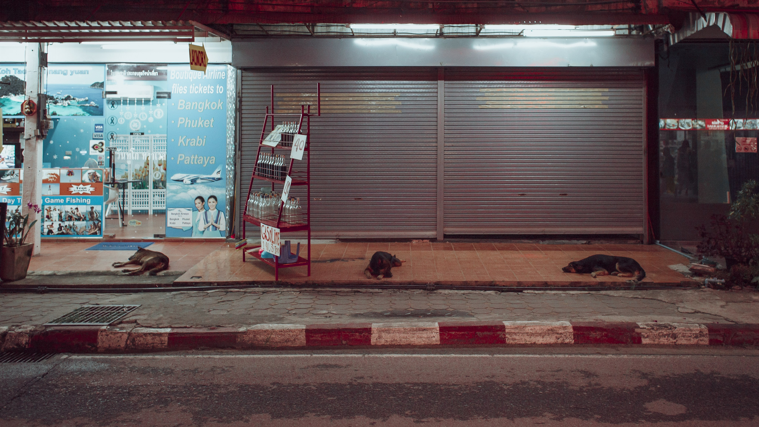Самуи Собачий остров. Ню Фотограф Александр Касымов Москва, фотосессии, Химки фотограф