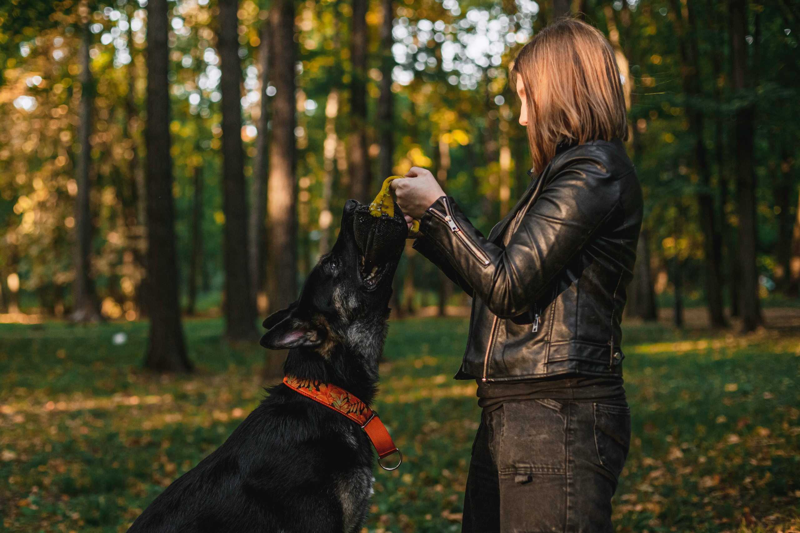Илай. Фотограф-анималист Татьяна Степанова