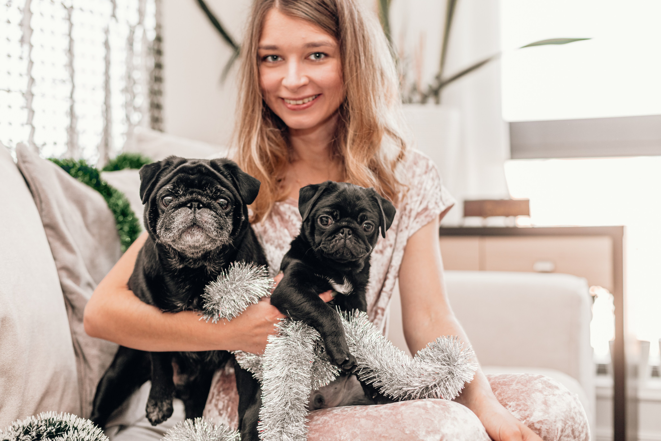 Домашняя фотосессия Оли и двух ее мопсов. Фотограф-анималист Татьяна Степанова