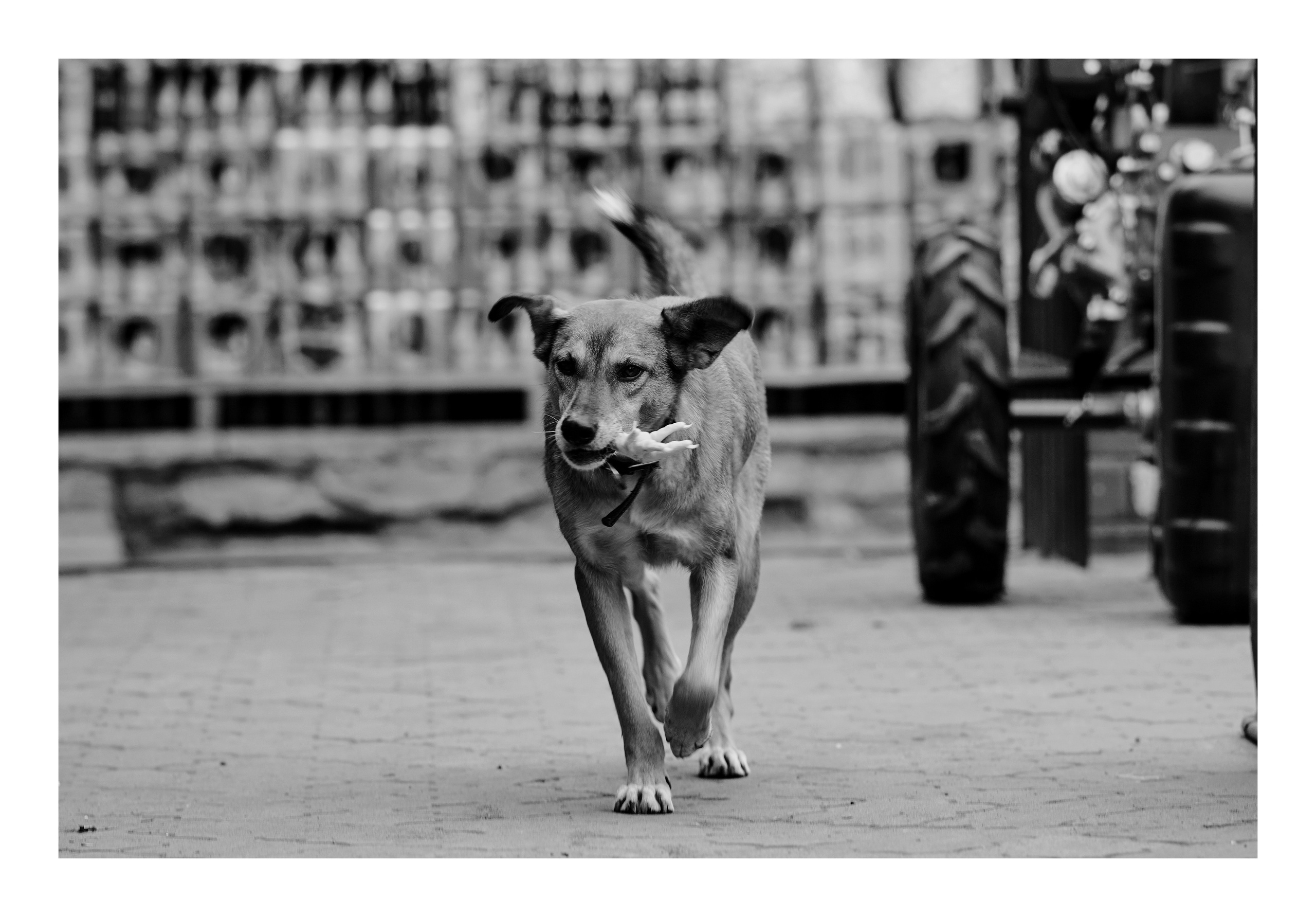 Фотопринты А3. Фотопроект «Территории»