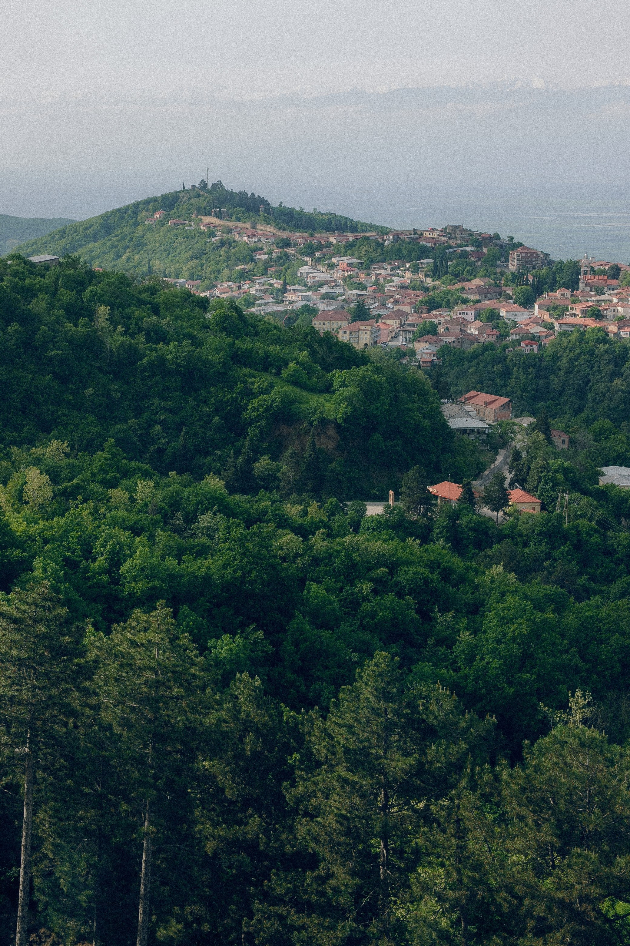 Иван и Надежда. Свадебный фотограф Грузия Тбилиси