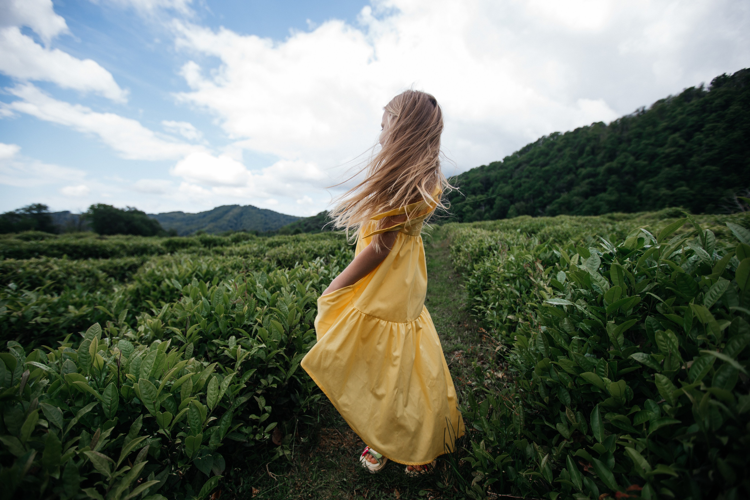 Tea plantation. Efimova Model Agency