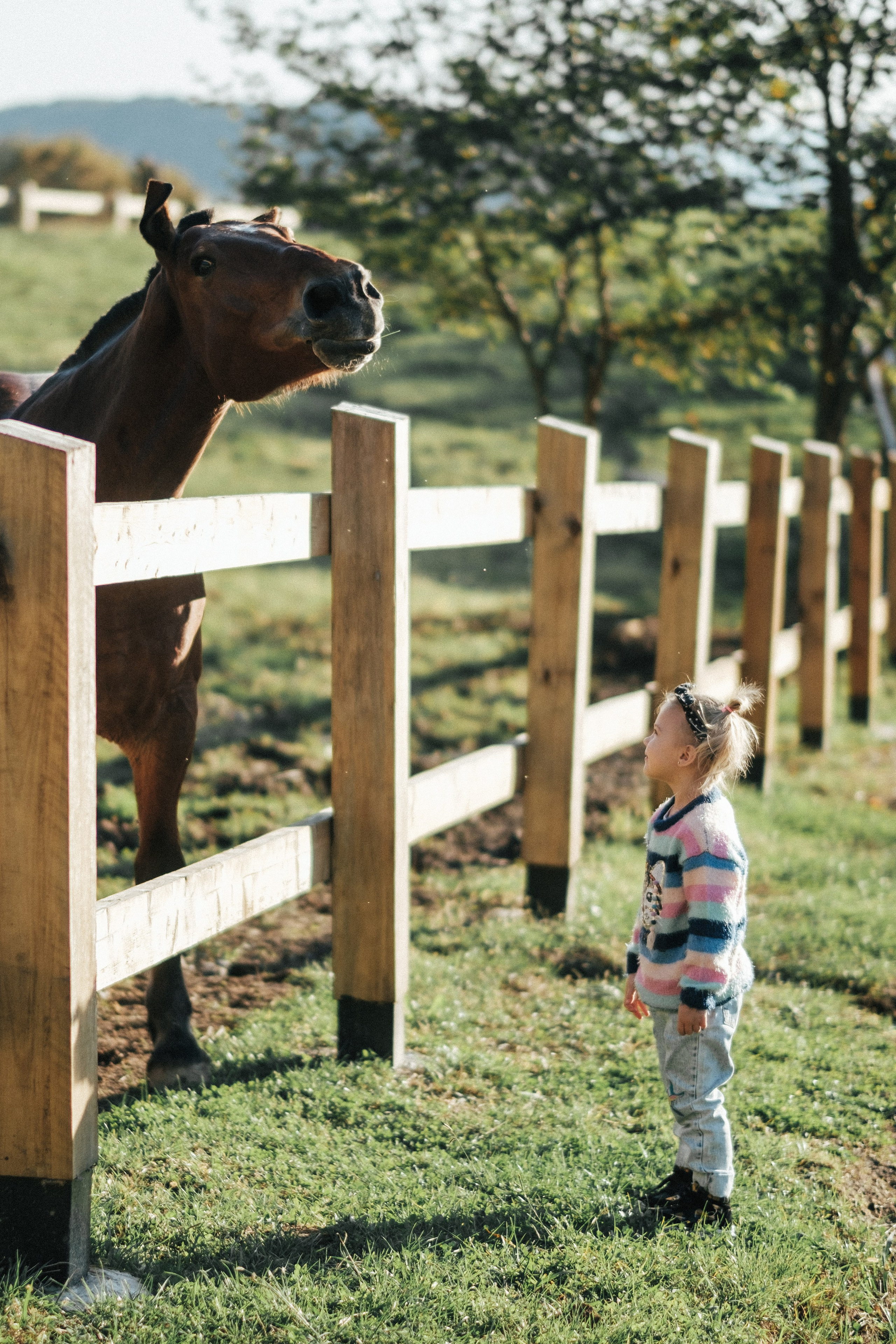 Экзархо. Свадебный Видеограф Фотограф в Сочи