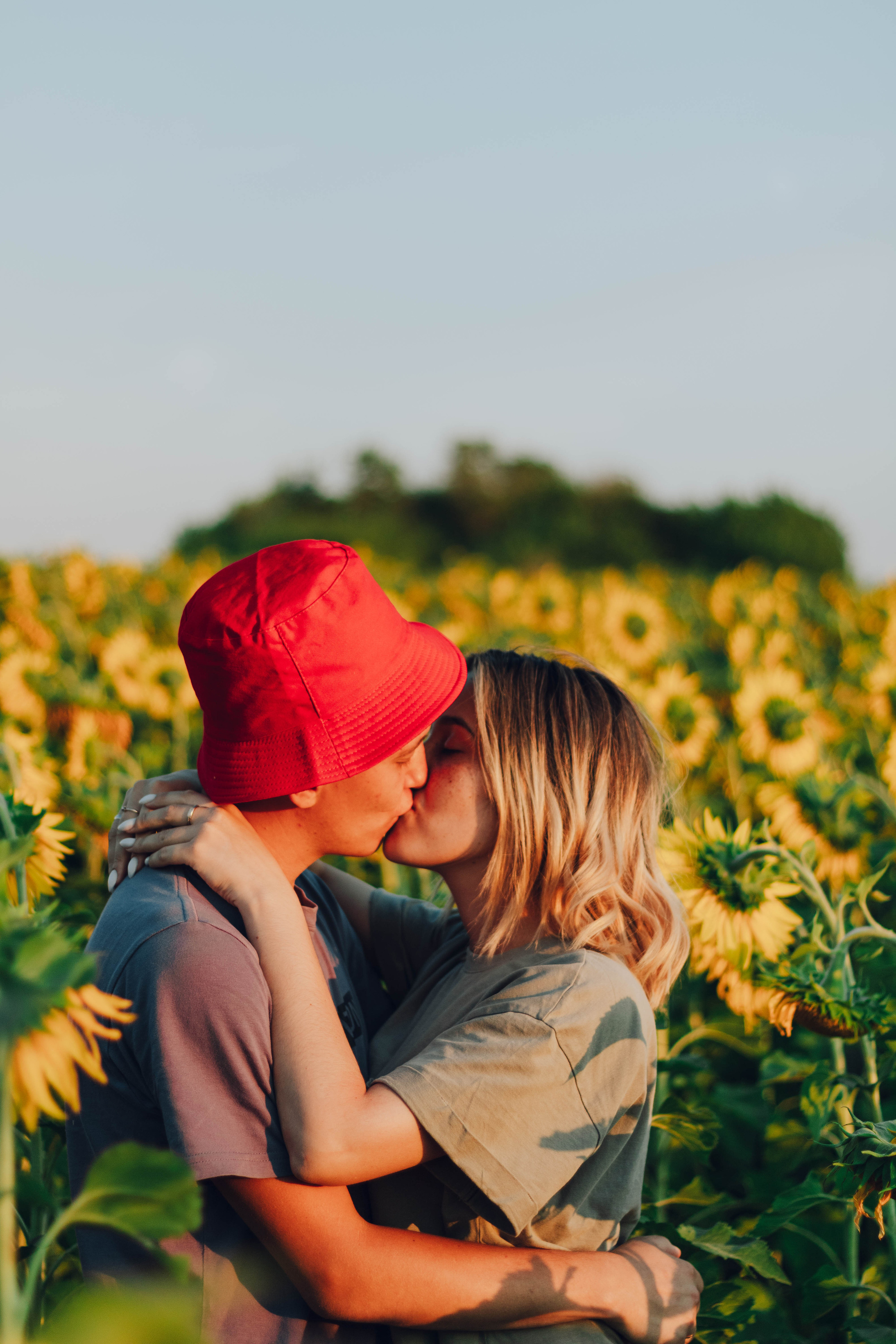 Типичные подсолнухи. Фотограф Уфа