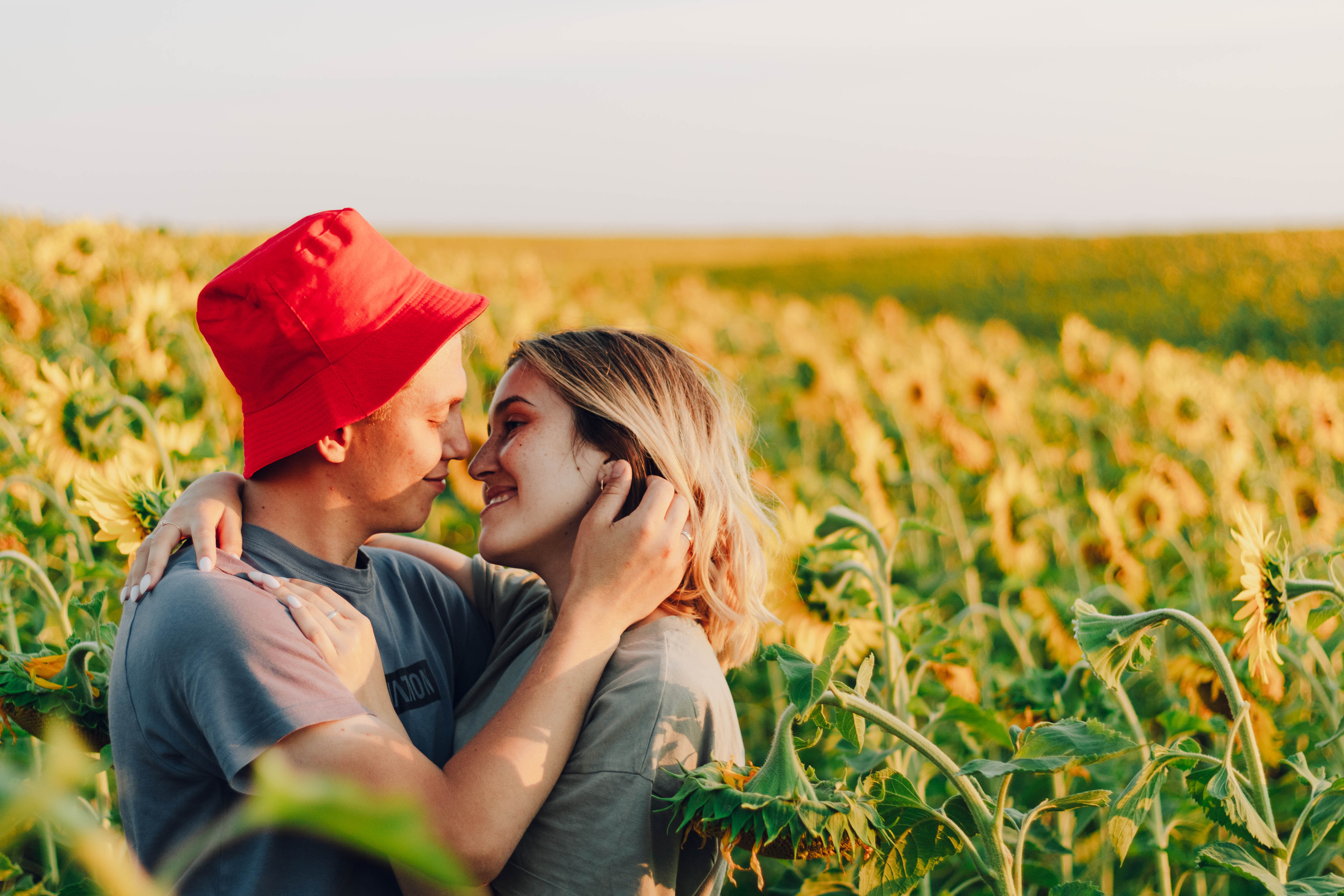 Типичные подсолнухи. Фотограф Уфа