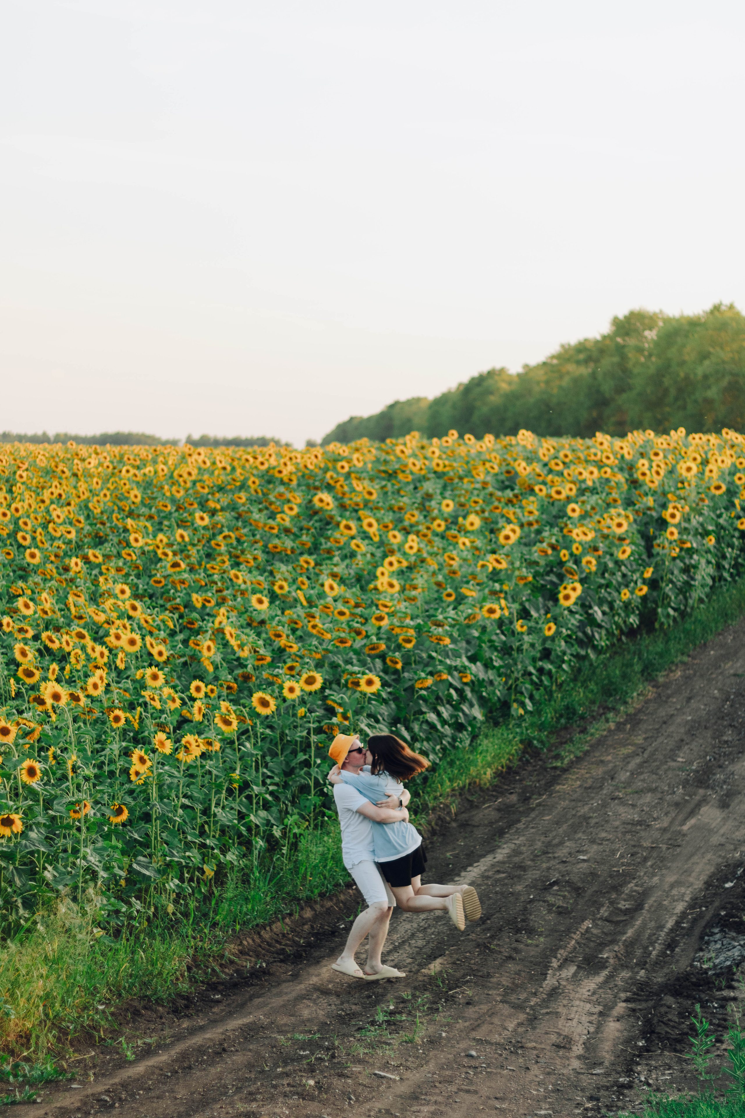 Типичные подсолнухи. Фотограф Уфа