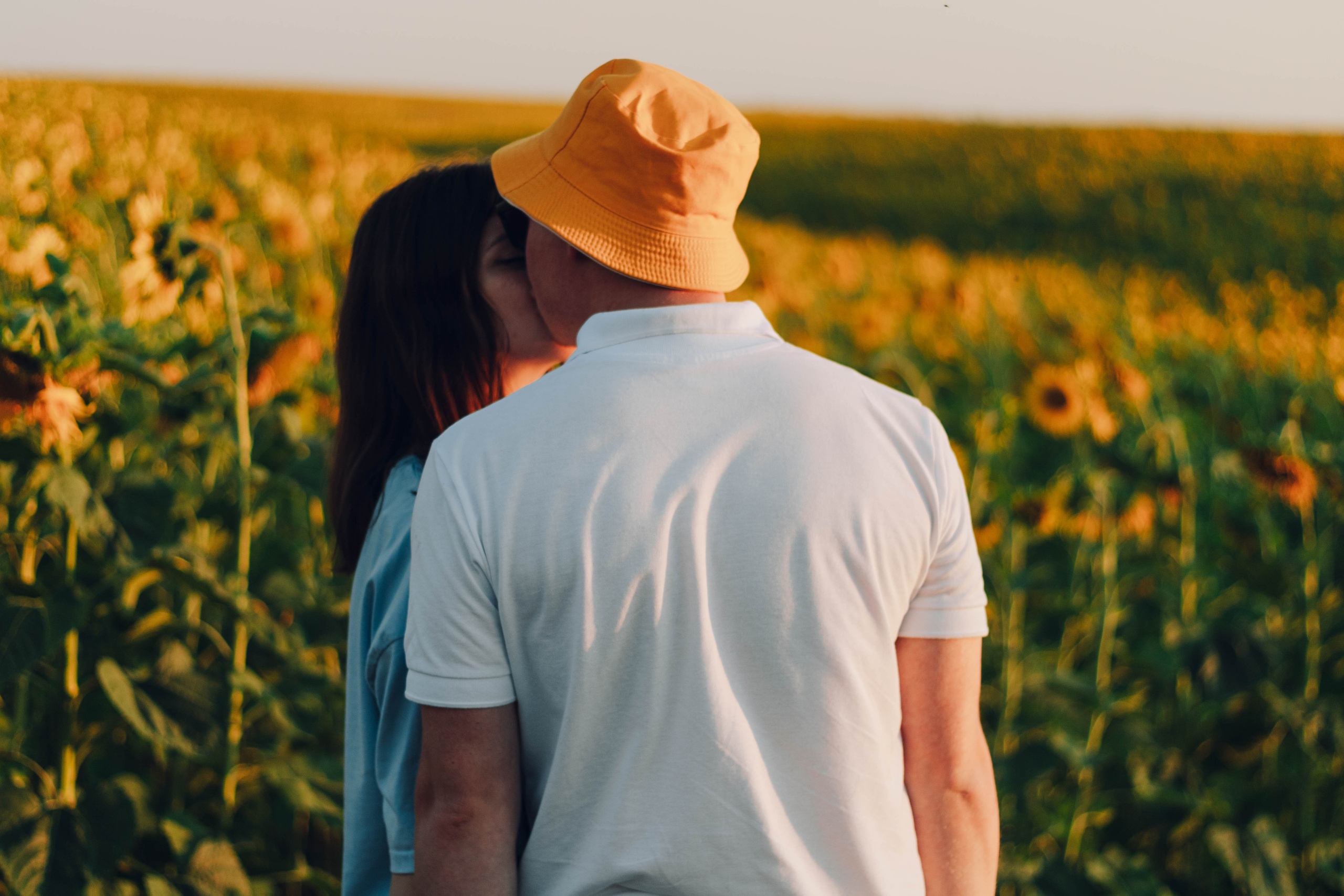 Типичные подсолнухи. Фотограф Уфа