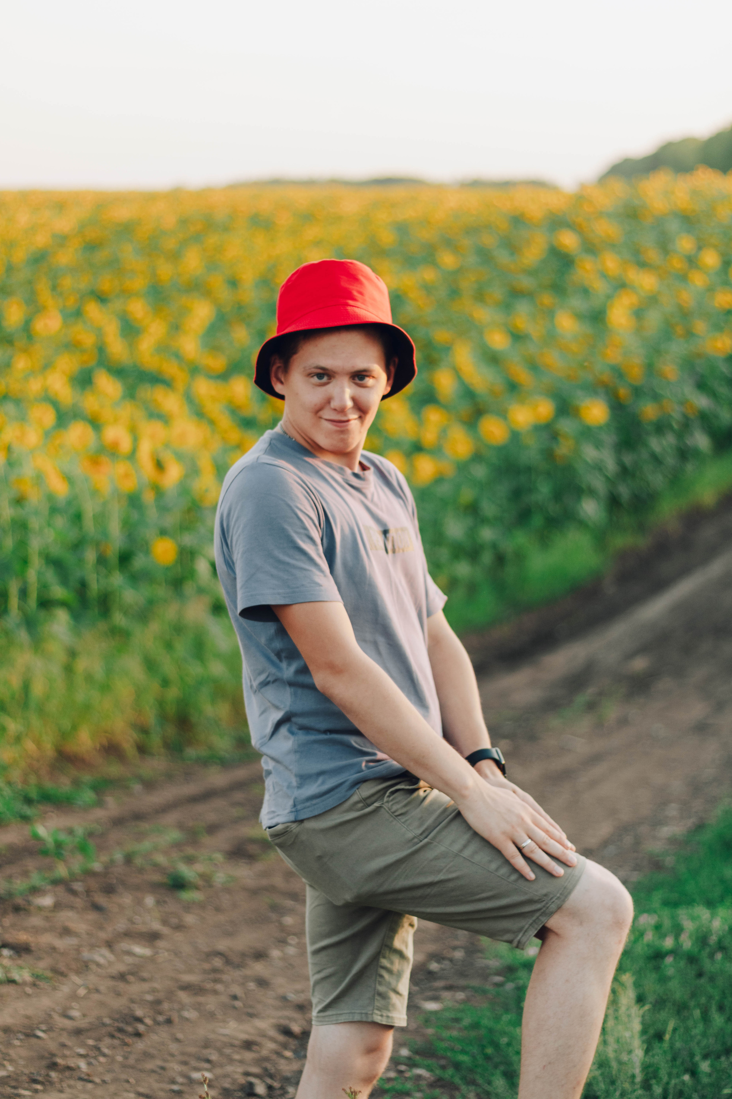 Типичные подсолнухи. Фотограф Уфа