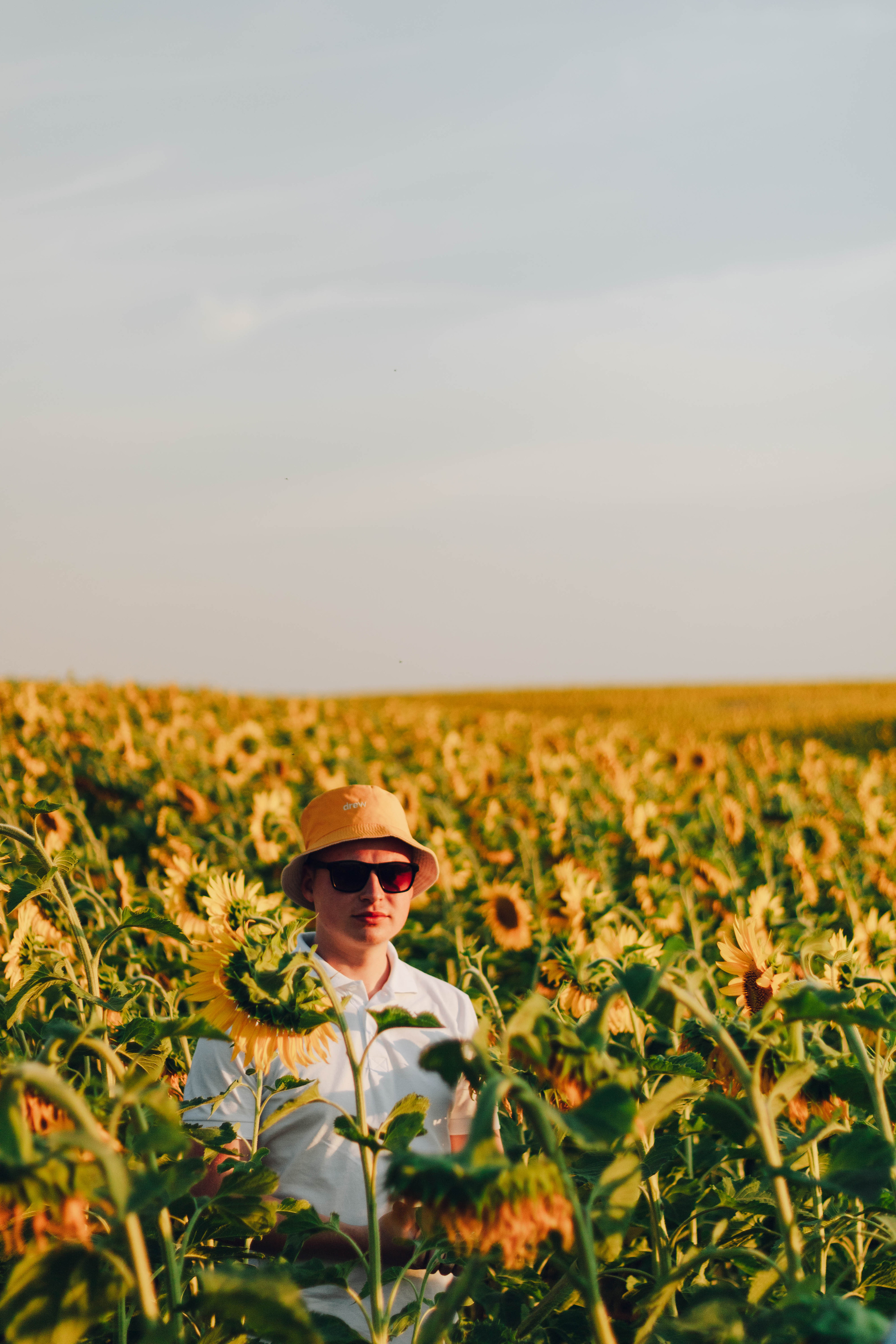 Типичные подсолнухи. Фотограф Уфа