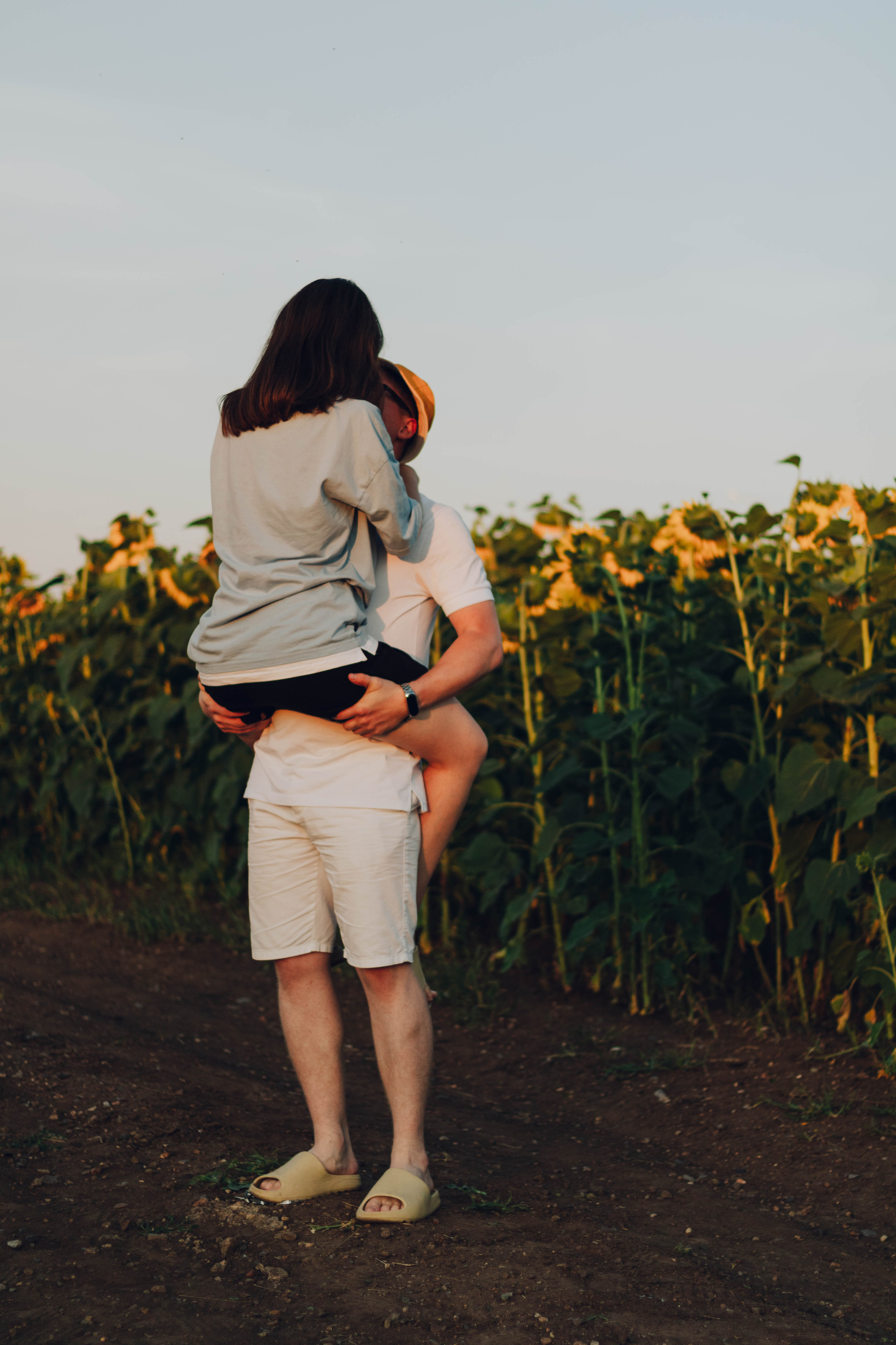 Типичные подсолнухи. Фотограф Уфа