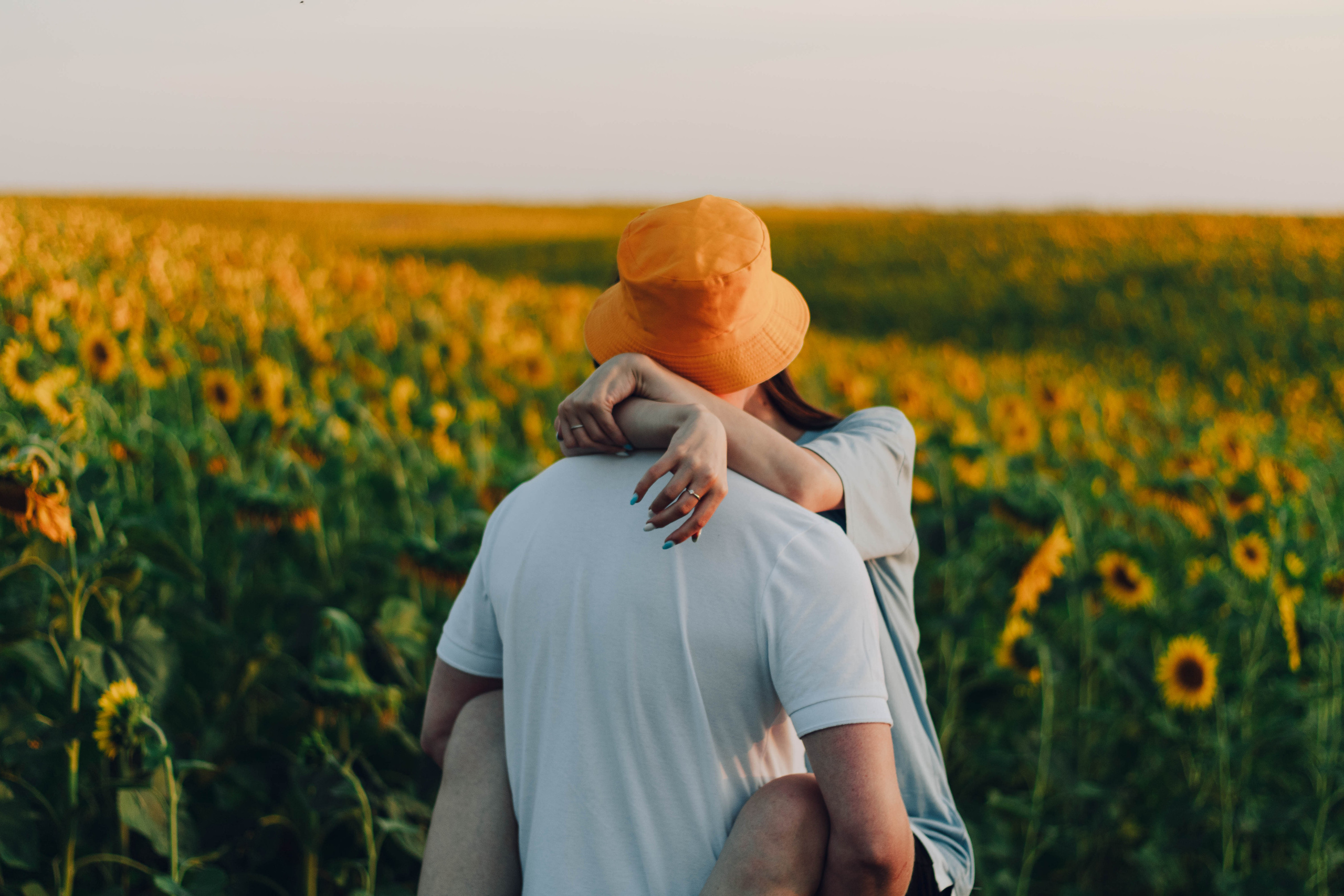 Типичные подсолнухи. Фотограф Уфа