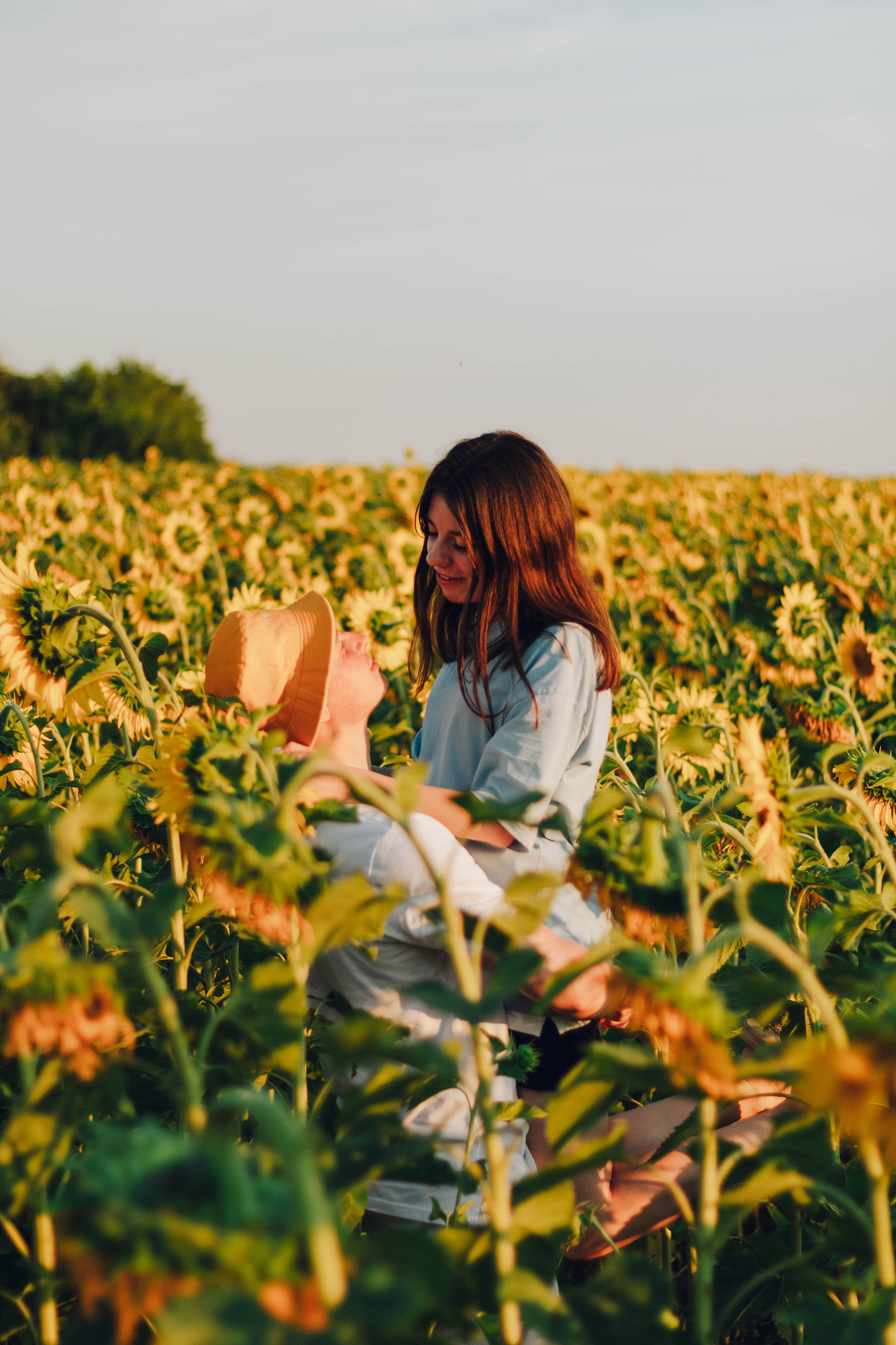 Типичные подсолнухи. Фотограф Уфа