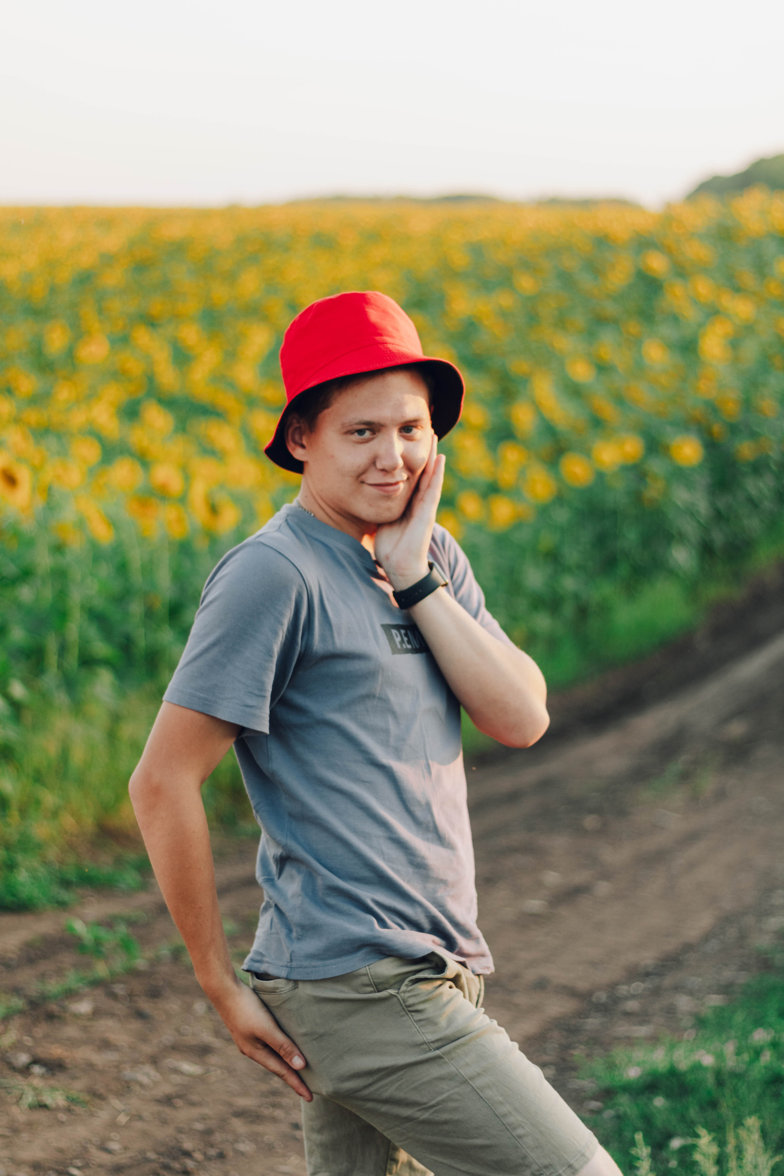 Типичные подсолнухи. Фотограф Уфа