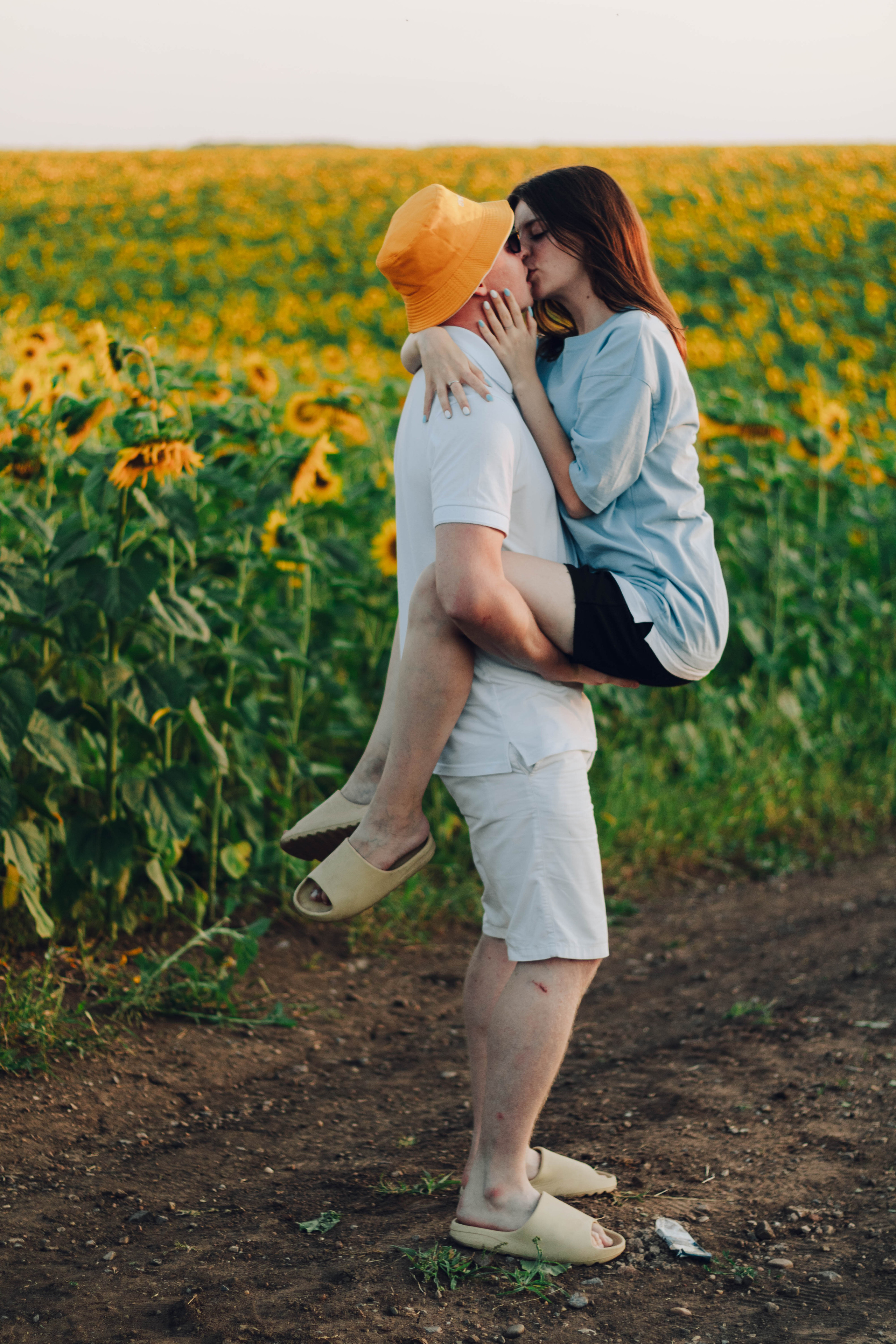 Типичные подсолнухи. Фотограф Уфа