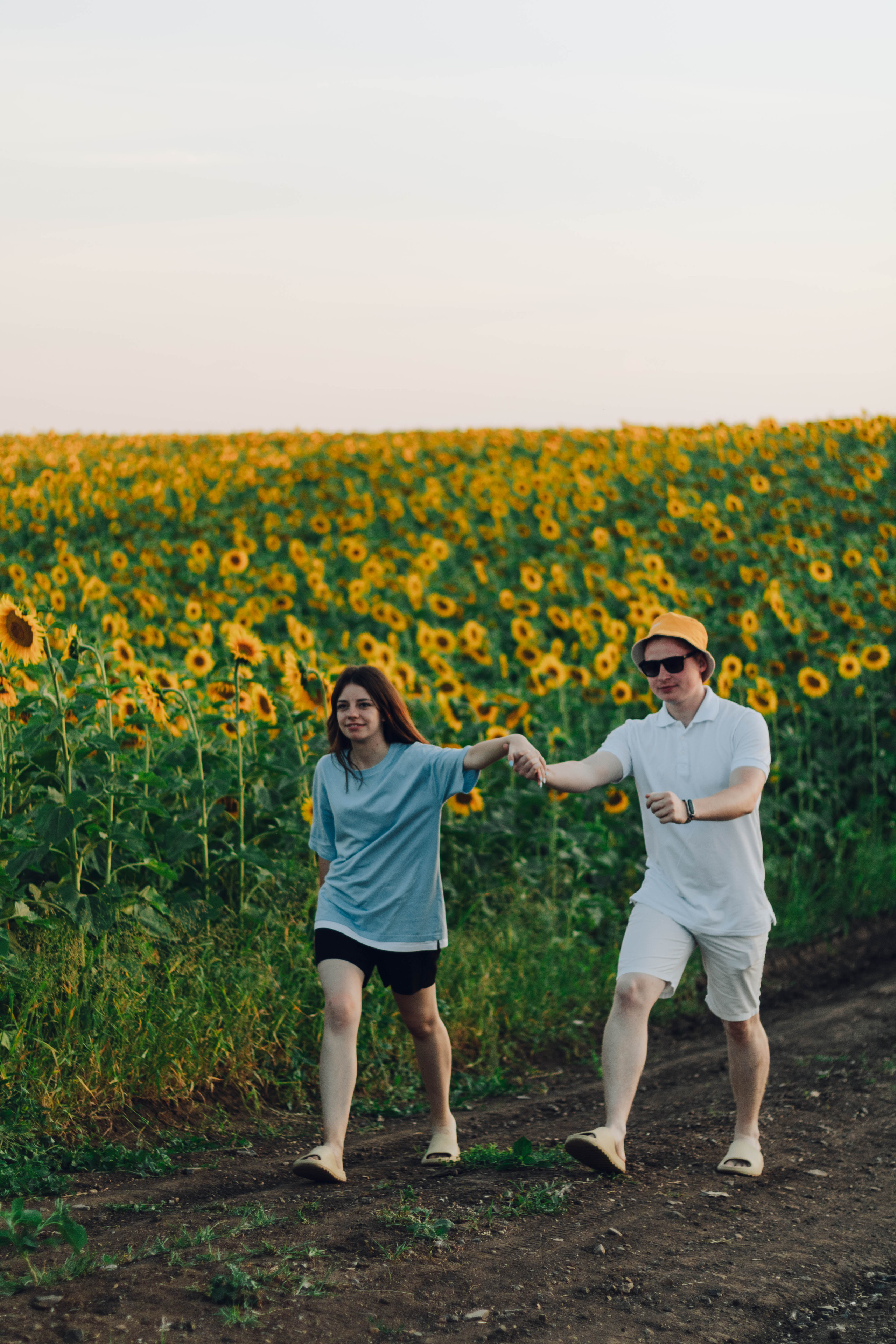 Типичные подсолнухи. Фотограф Уфа