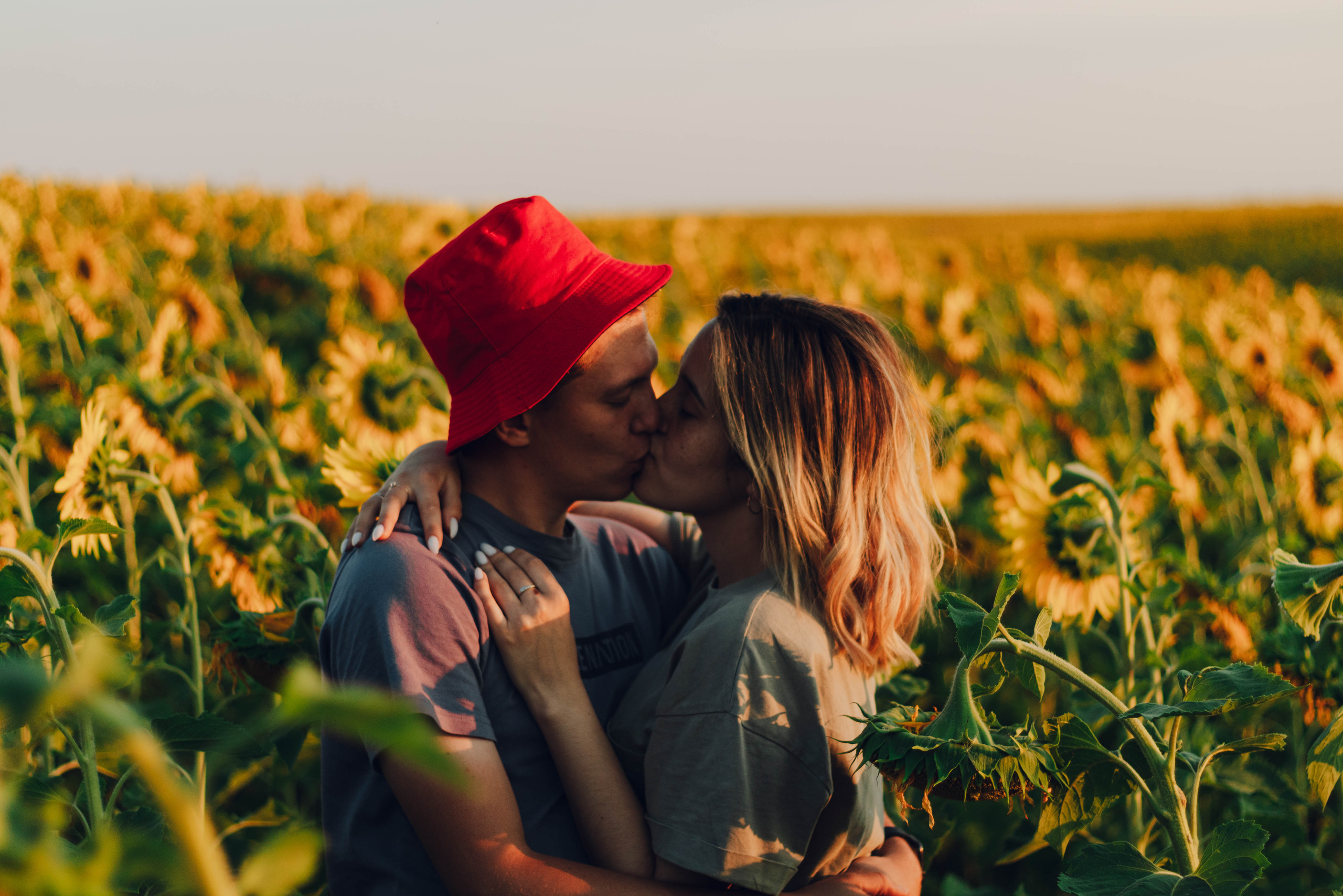 Типичные подсолнухи. Фотограф Уфа