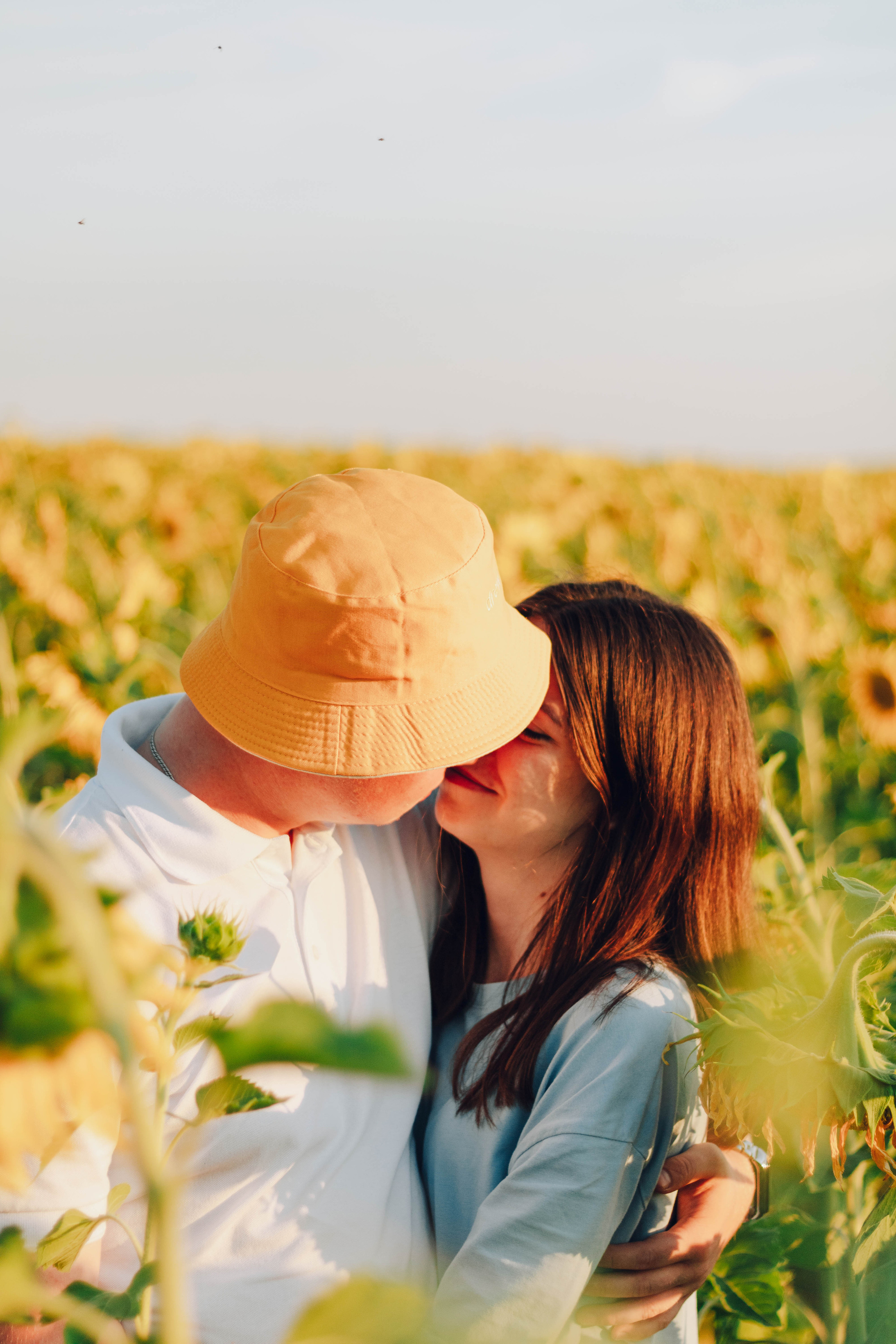 Типичные подсолнухи. Фотограф Уфа