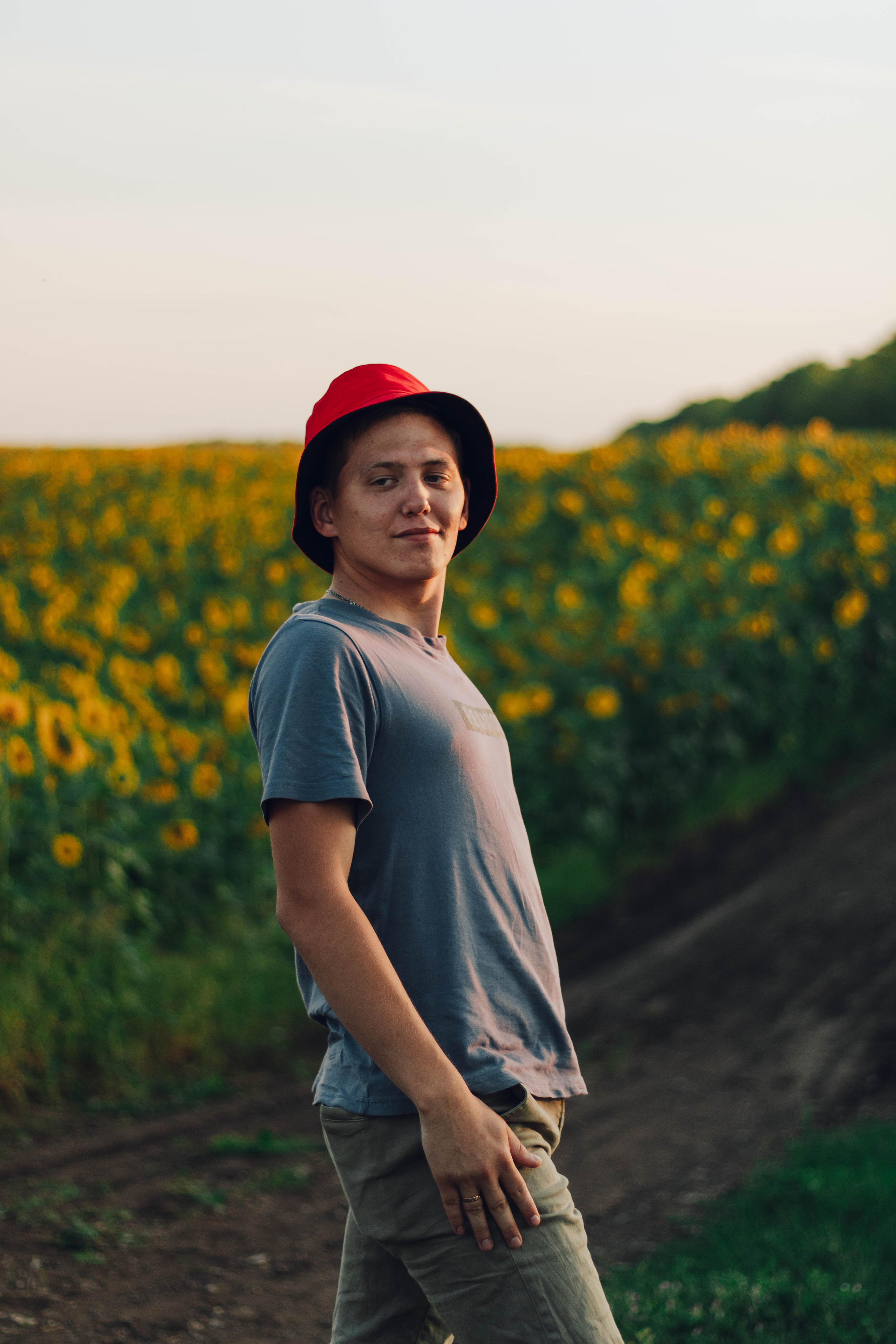 Типичные подсолнухи. Фотограф Уфа