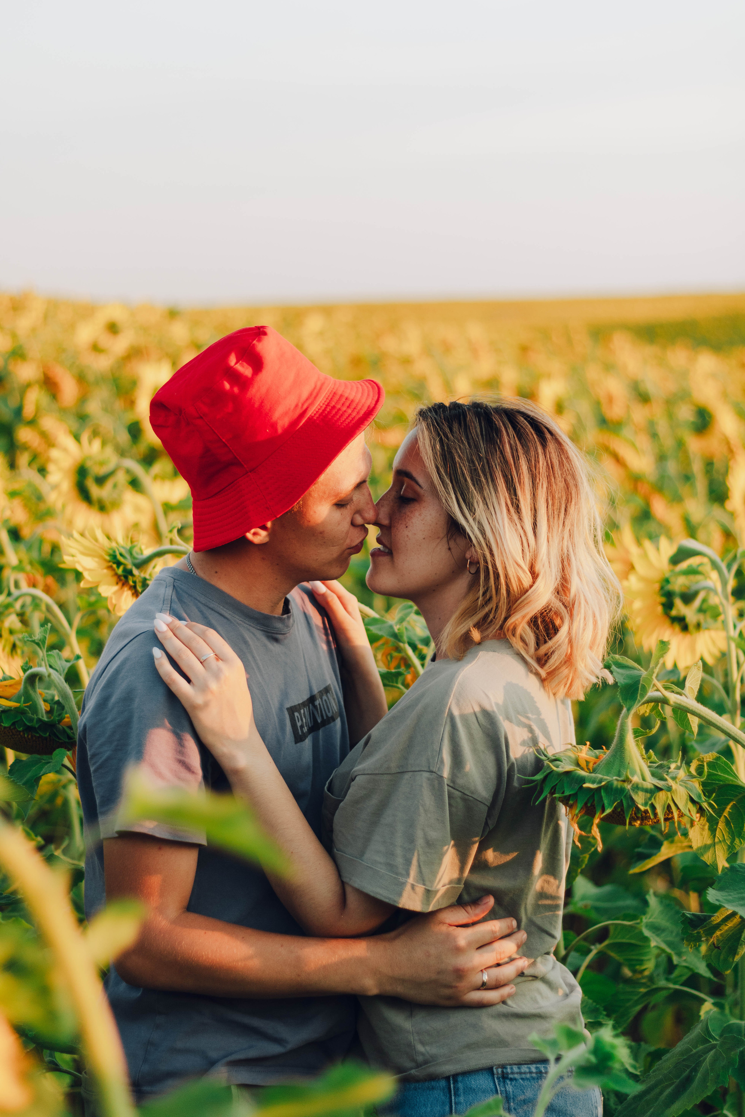 Типичные подсолнухи. Фотограф Уфа