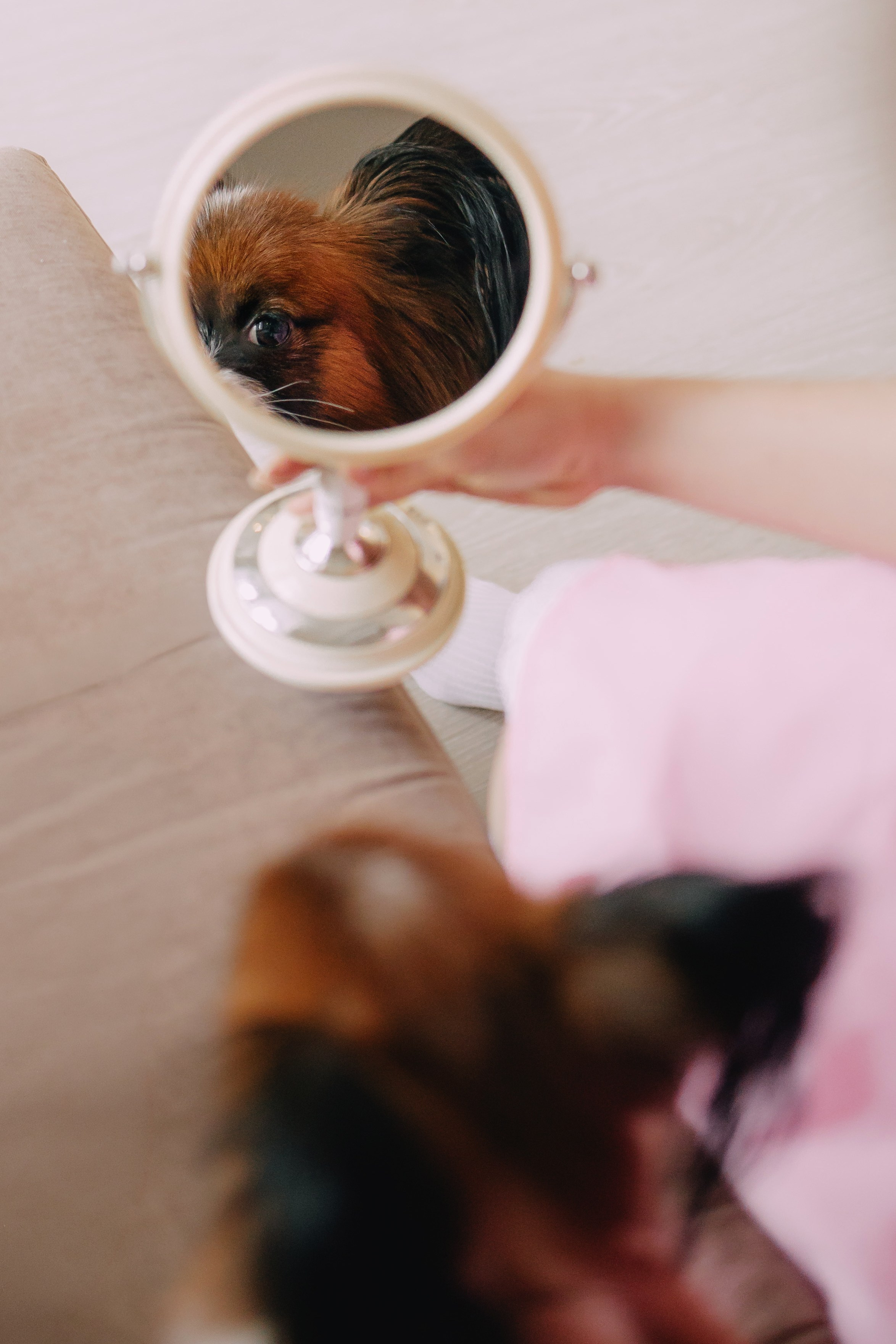 Султан, Мэй Мэй и Шанталь и их семья