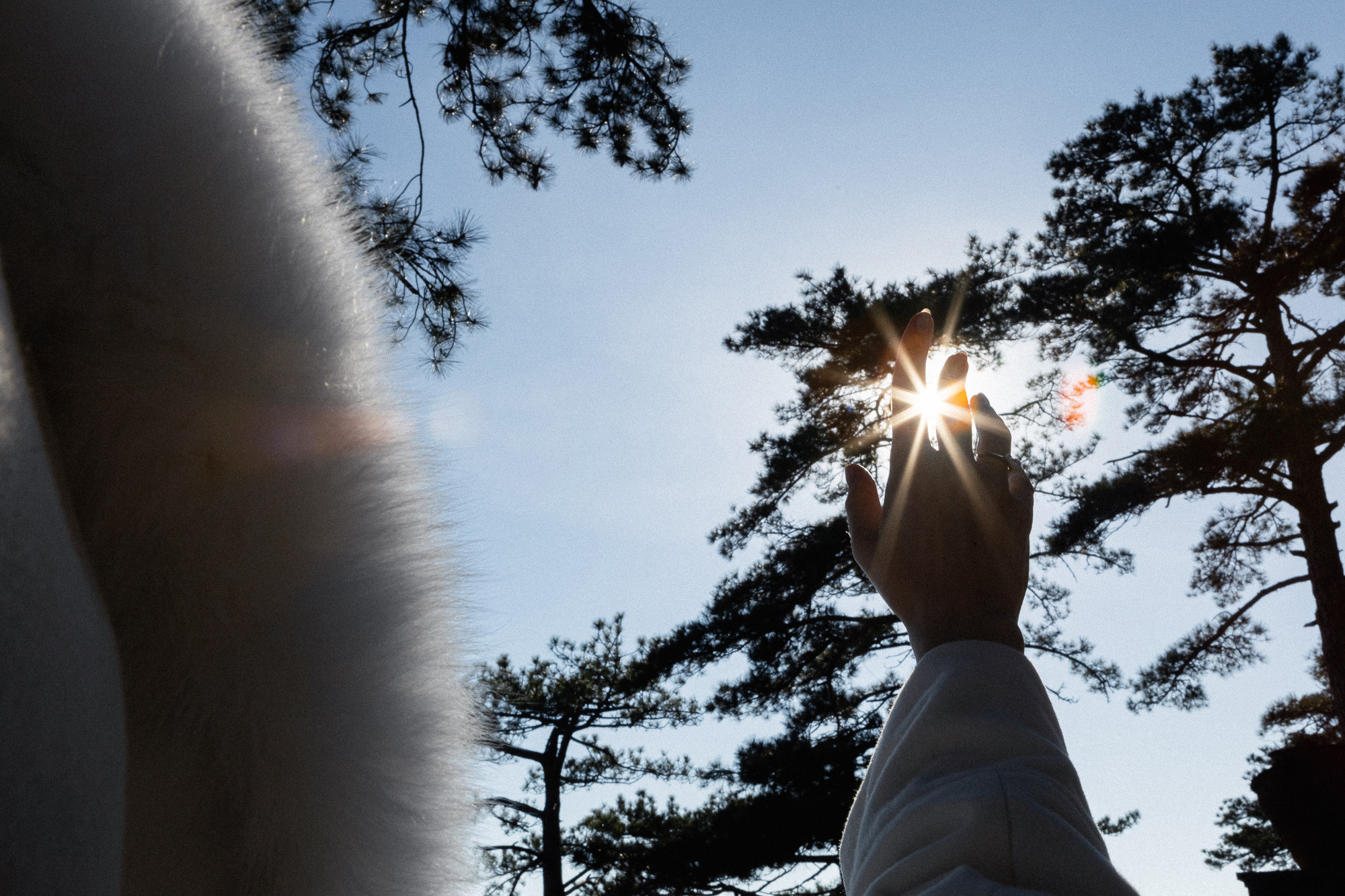 Алексей и Екатерина - свадьба для двоих в отеле Pallasa в Ялте. Свадебный фотограф, фотосъемка в Крыму, Севастополе, Симферополе, Ялте