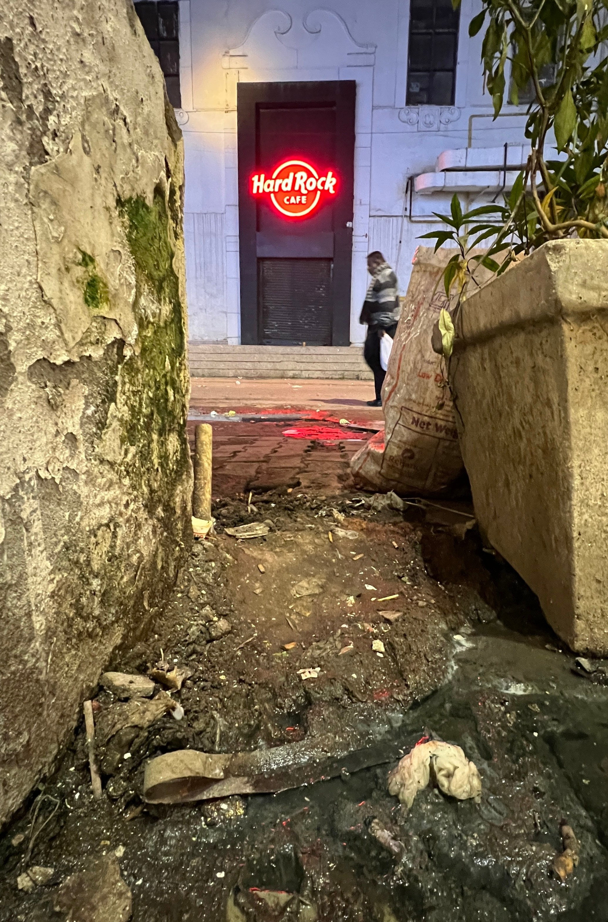 Индия. Телеоператор Ильнур Таминдаров — видеосъемка, документальные фильмы, интервью в Москве