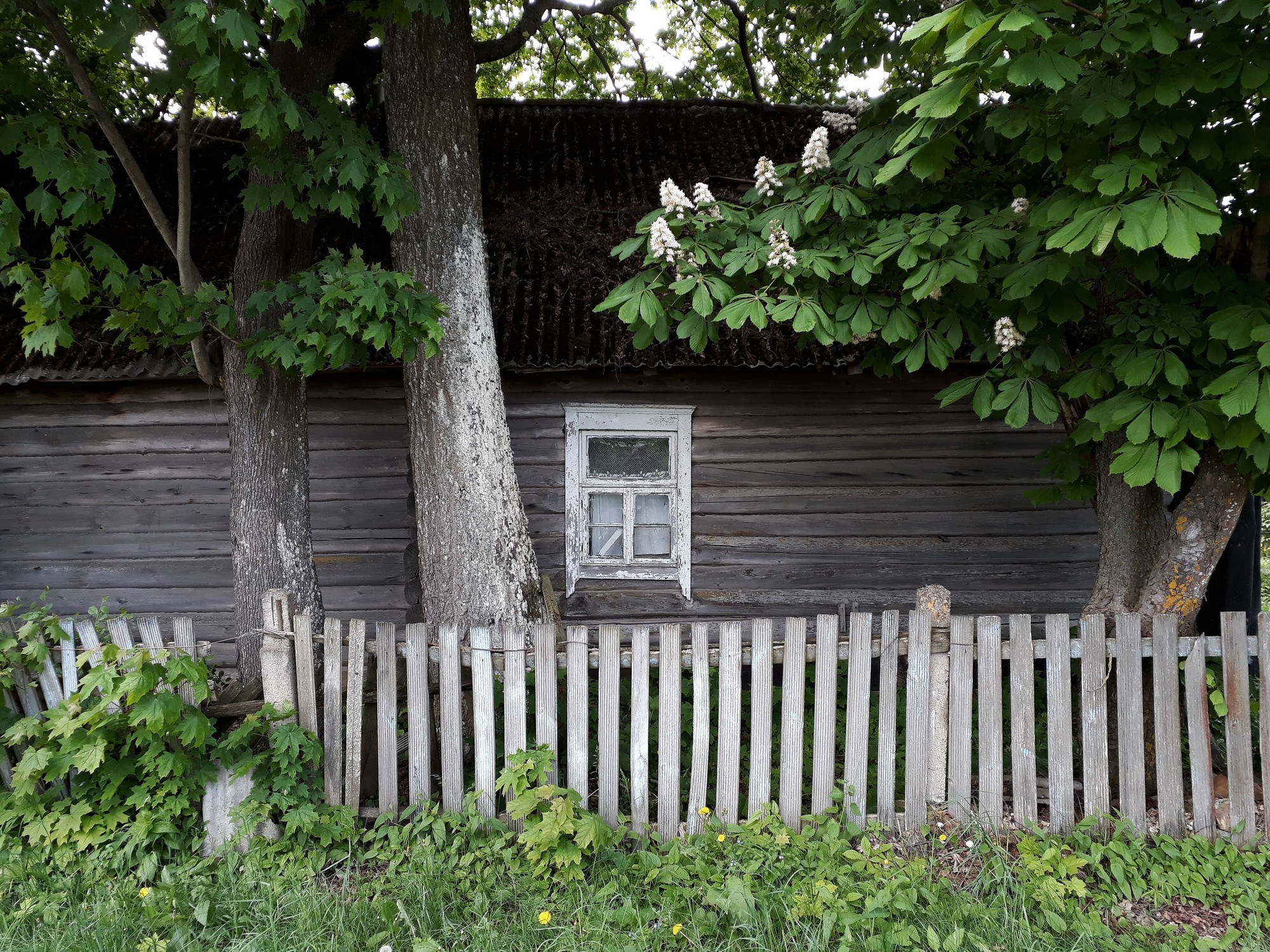 Home.land. Künstler Verstecktoff