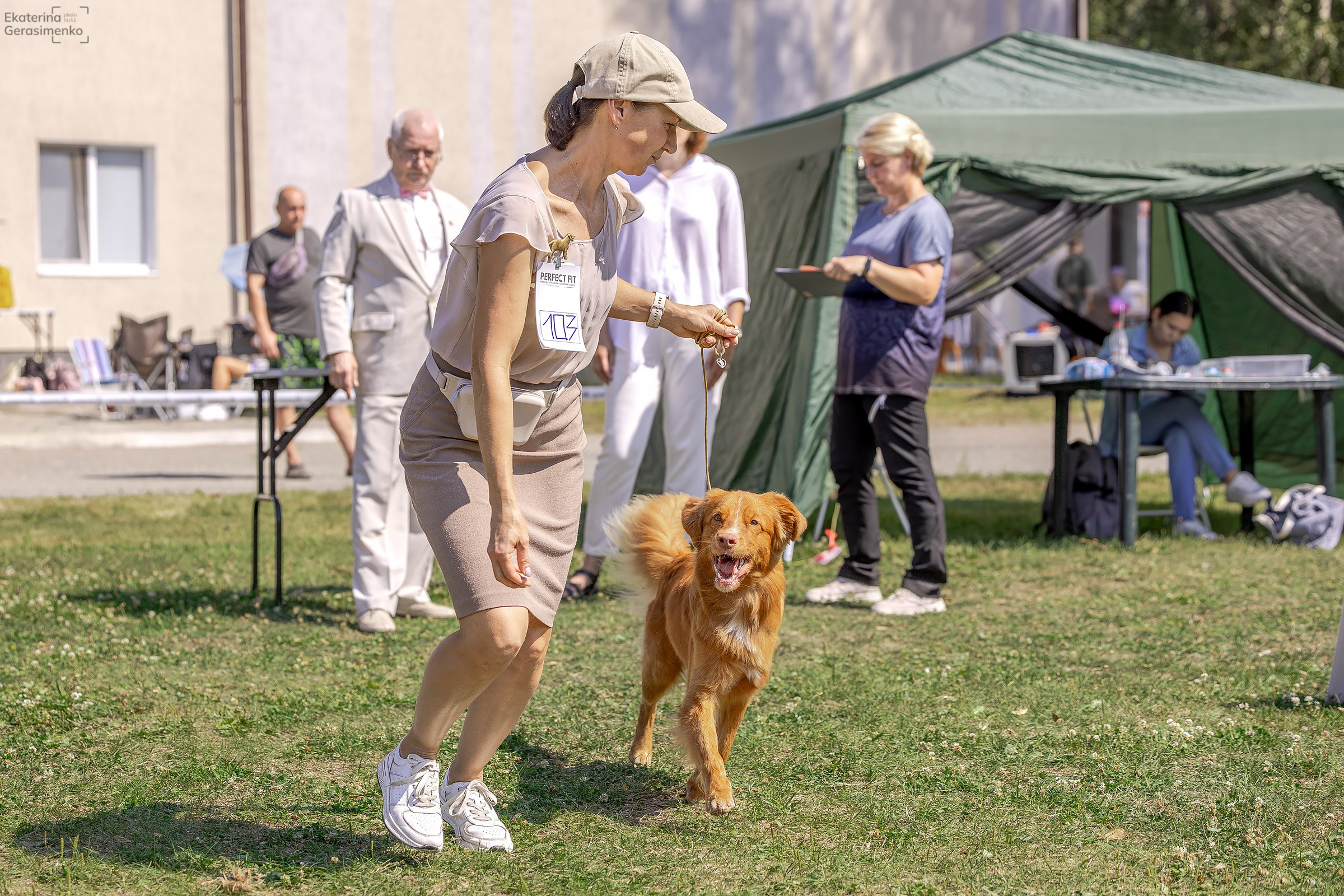 2–3 августа 2025, Выставка РКФ, г. Пермь. Htykk_photo