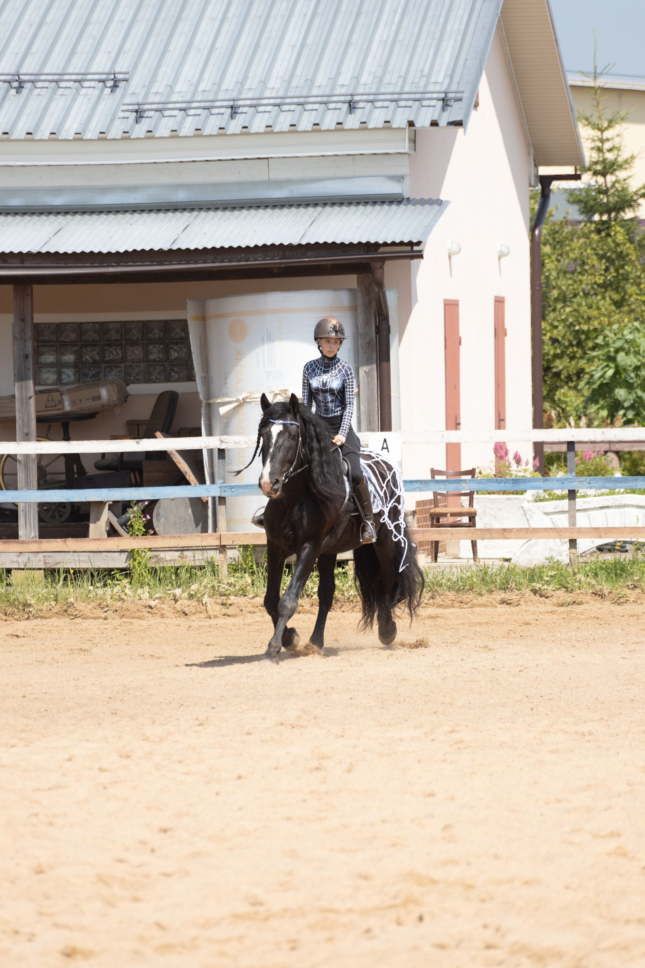 Конюшня. Фотограф в Москве и Истре