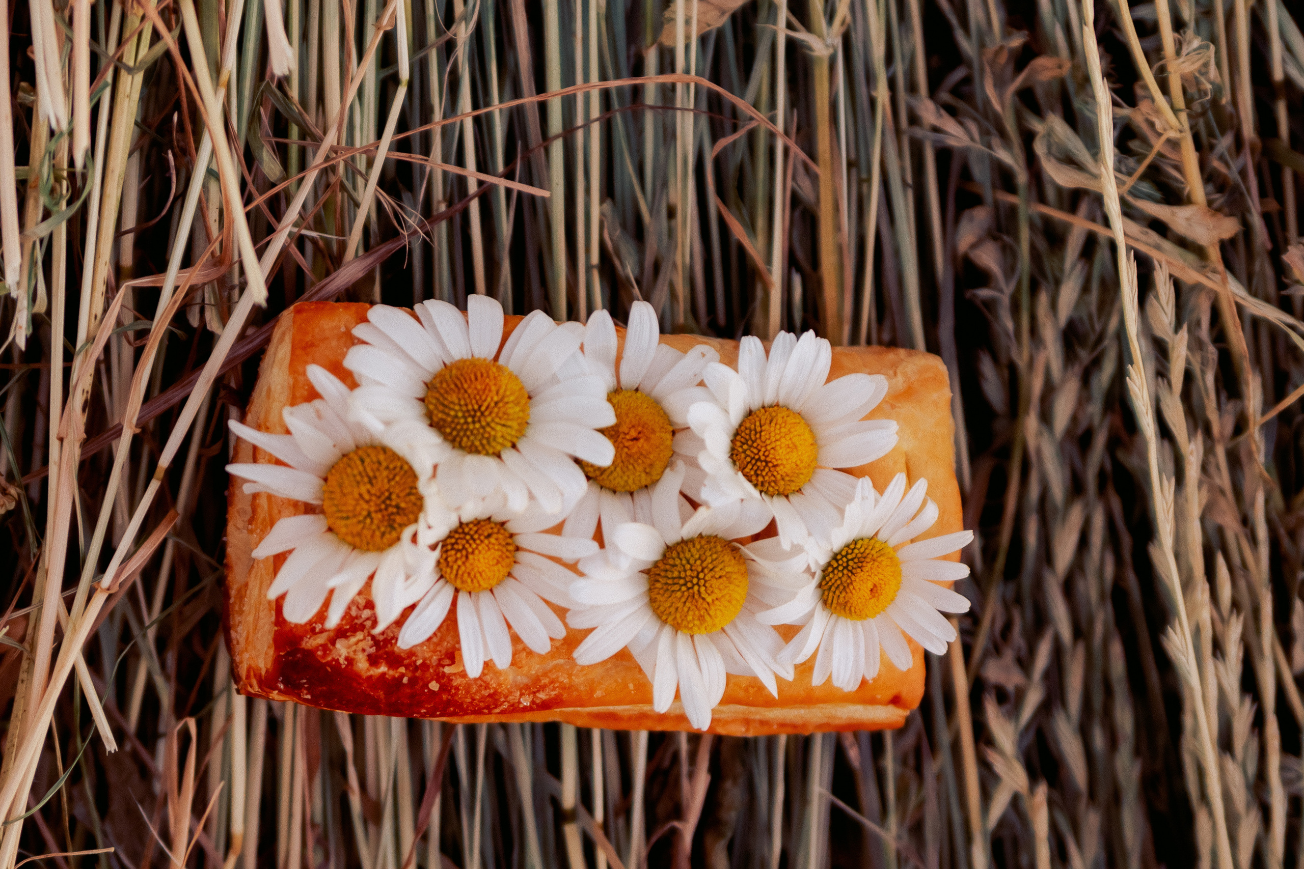 ПОРТФОЛИО. Женский фотограф в Москве Светлана Смагина