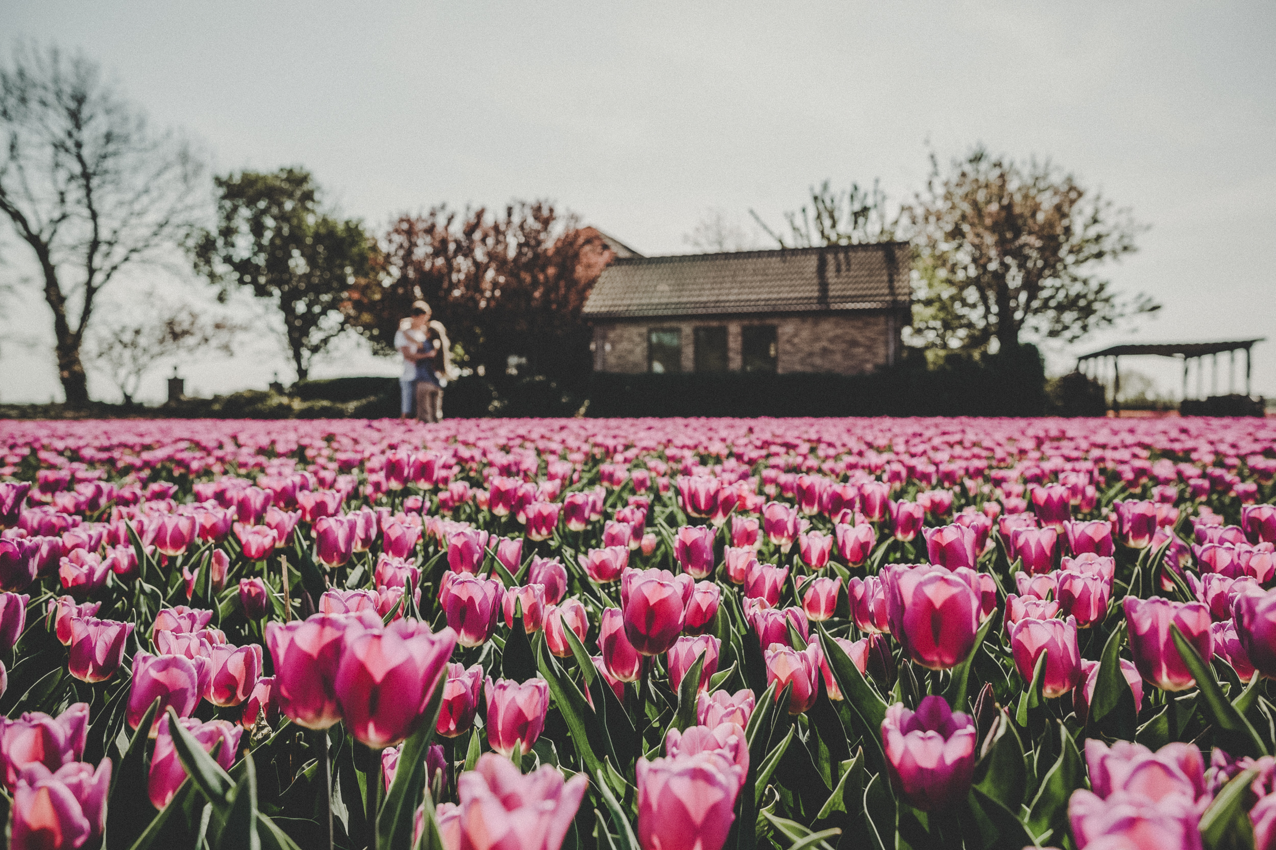 N E T H E R L A N D S ' 19. Destination wedding photographer Mary Korenchuk