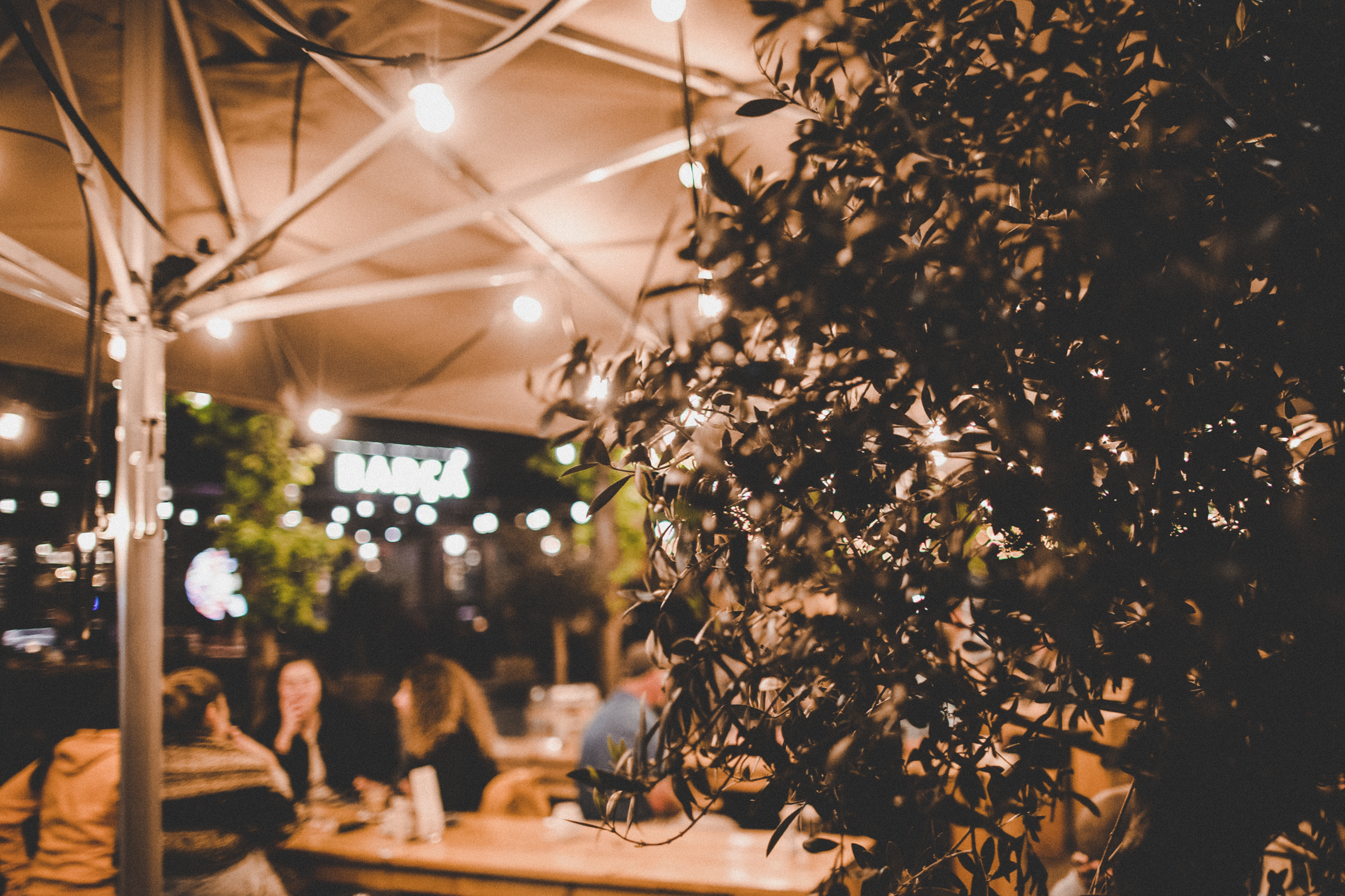 N E T H E R L A N D S ' 19. Destination wedding photographer Mary Korenchuk